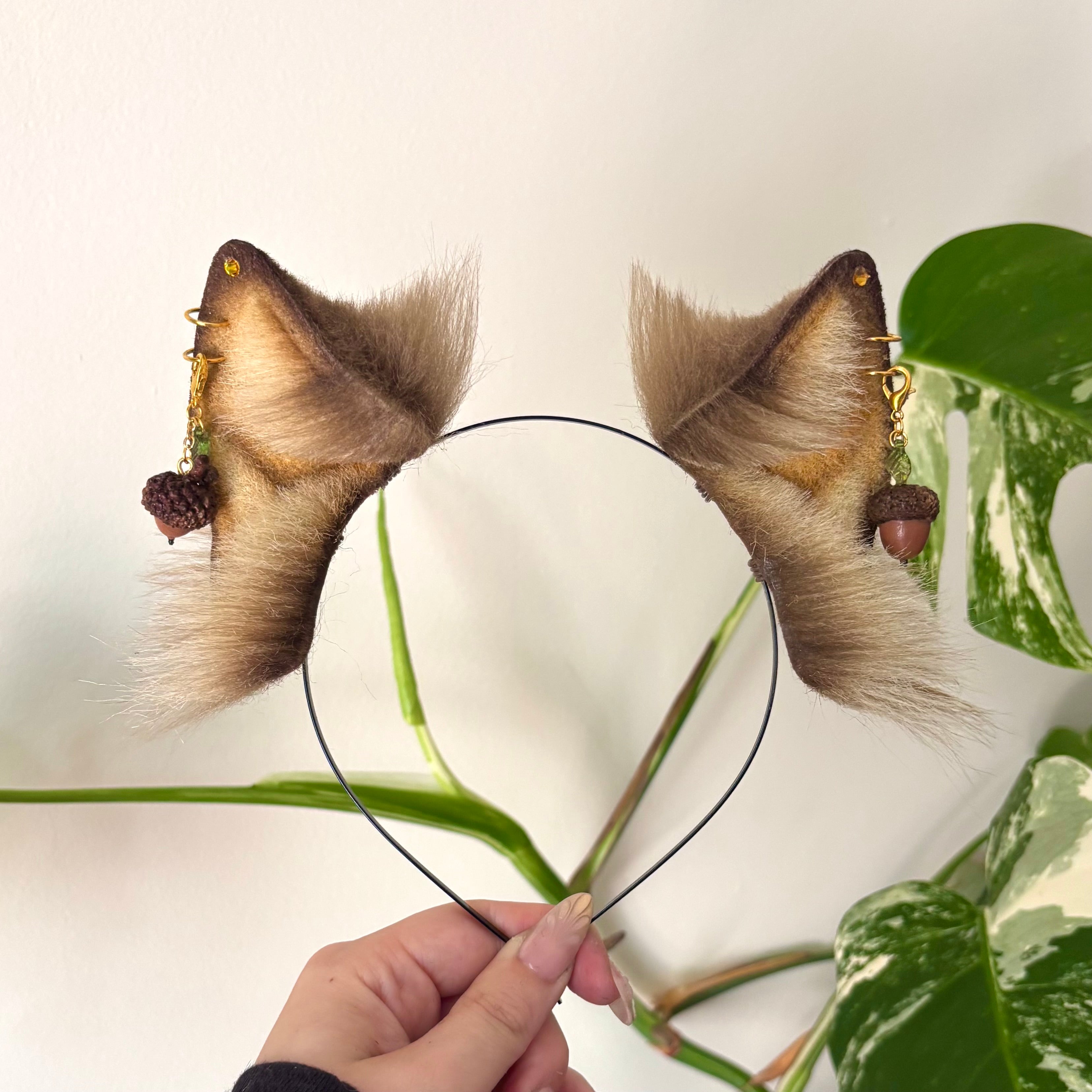 Acorn Kitten Ears