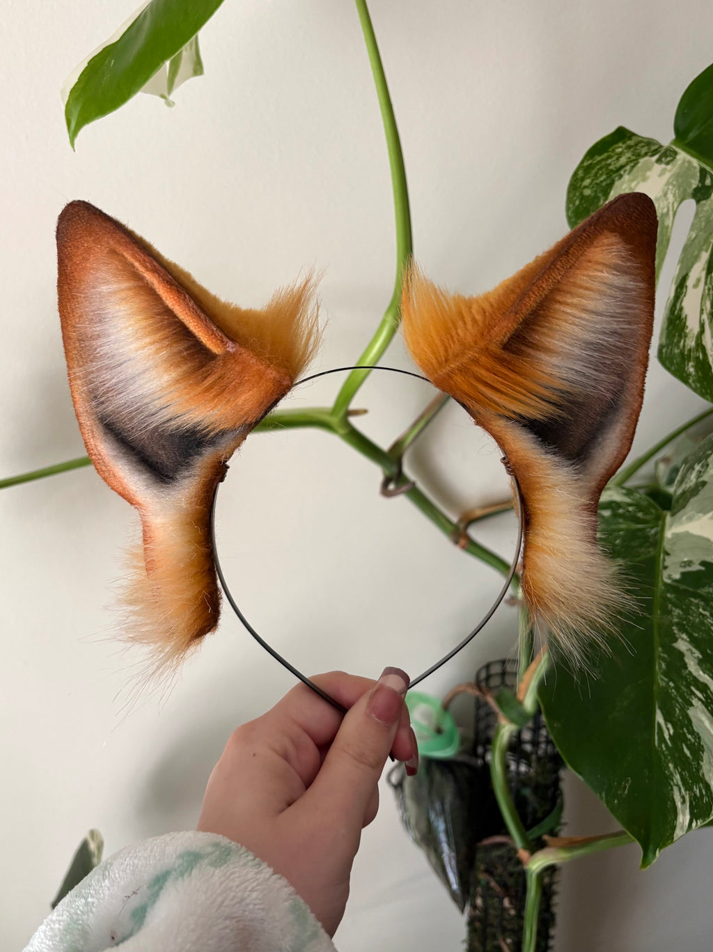 Red Fox Ears