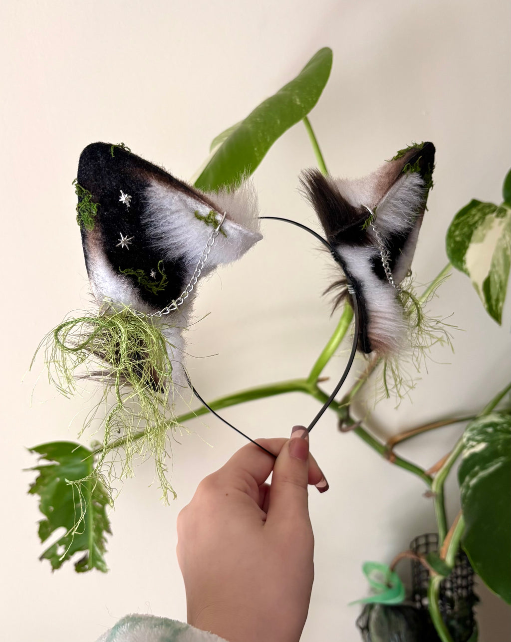 Moonlichen Wolf Ears