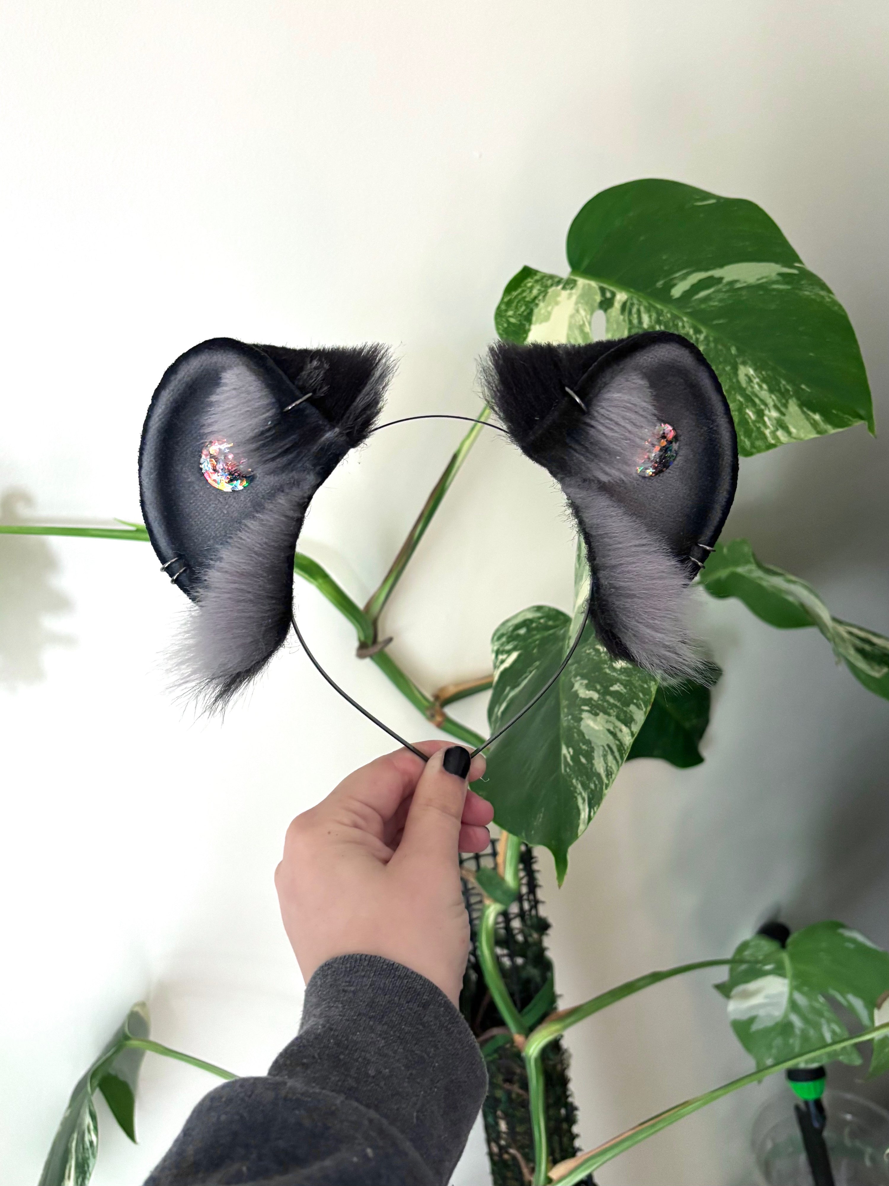 Grey Ember Roundie Ears
