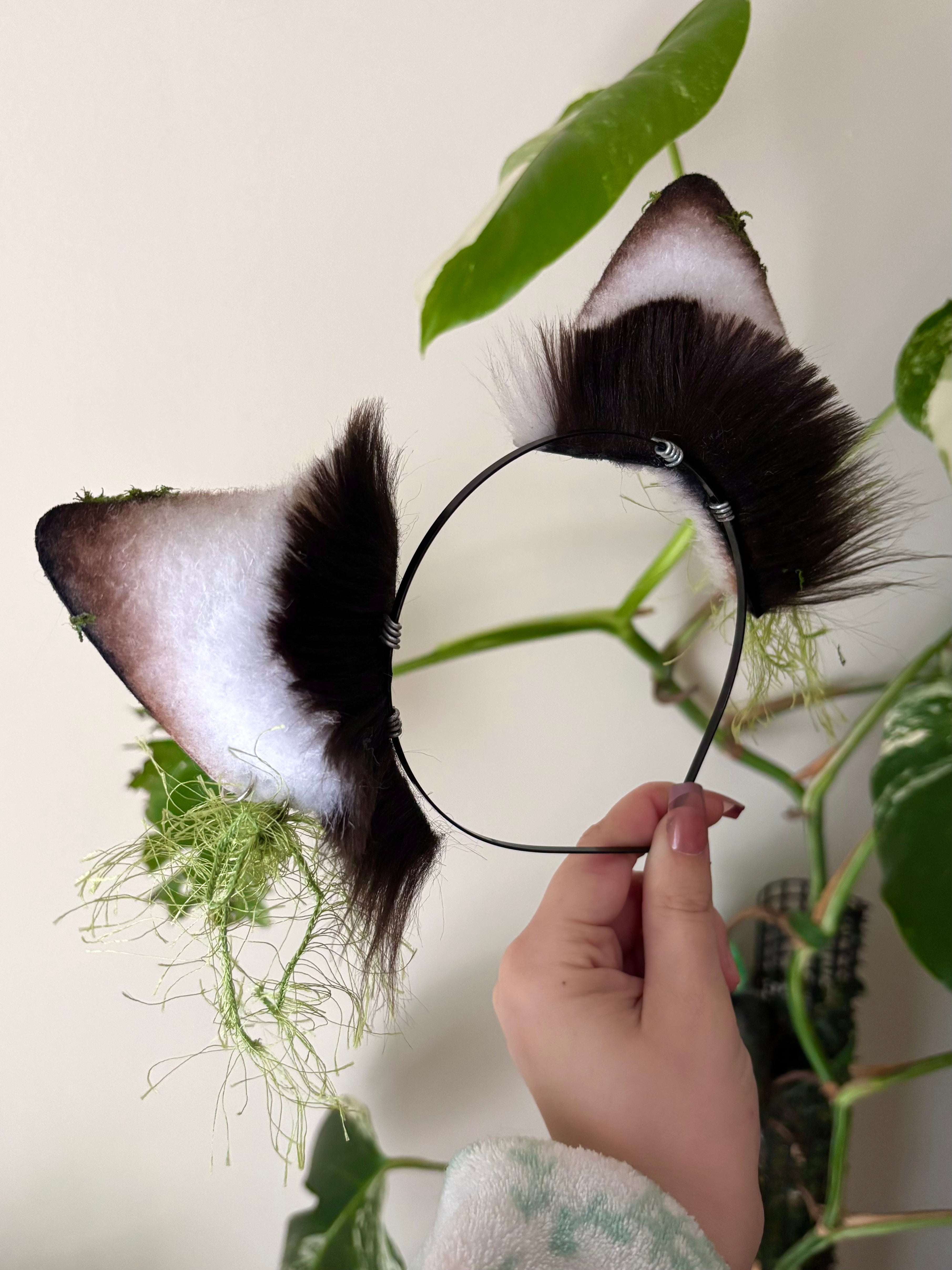 Moonlichen Wolf Ears
