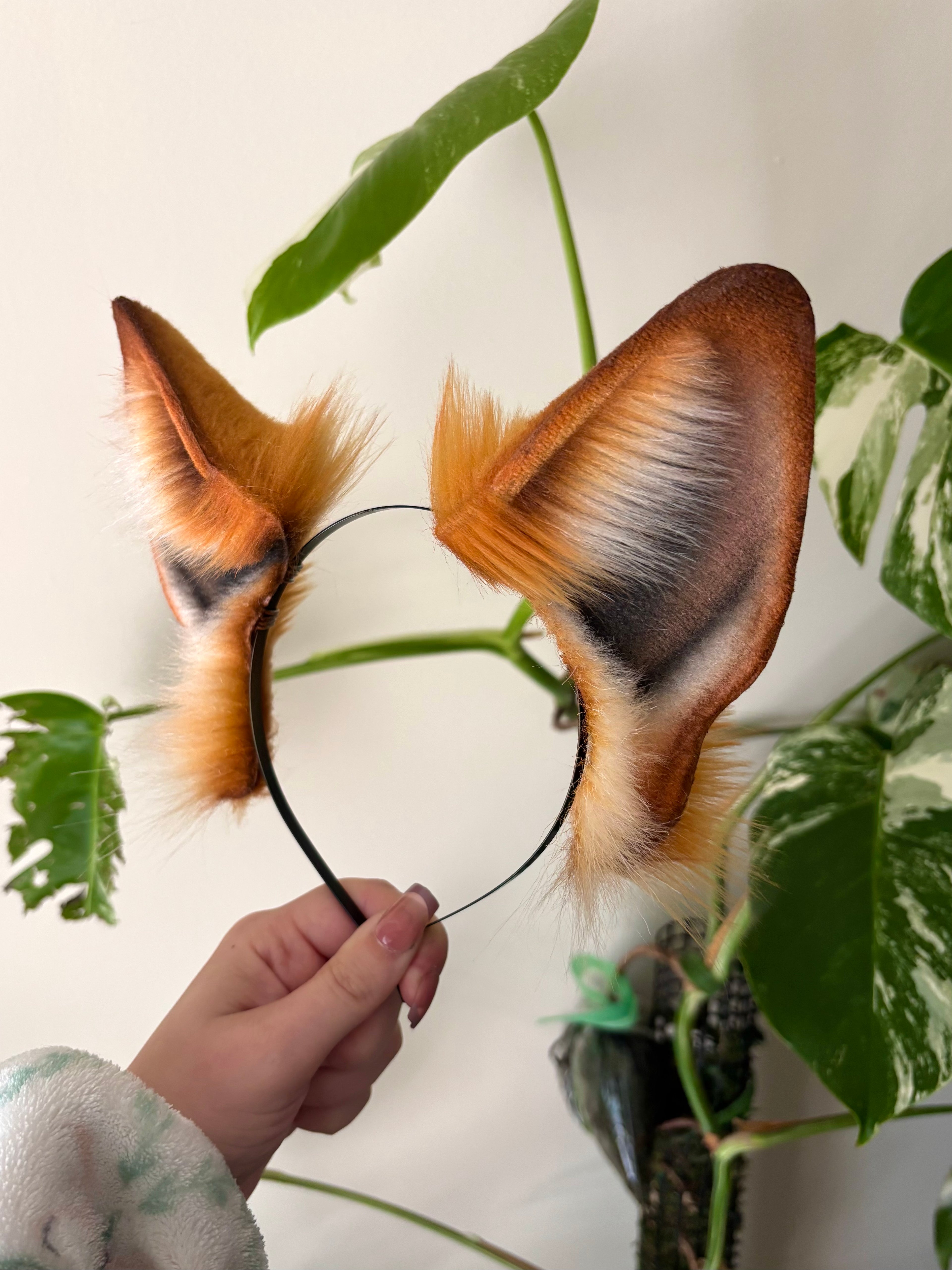 Red Fox Ears