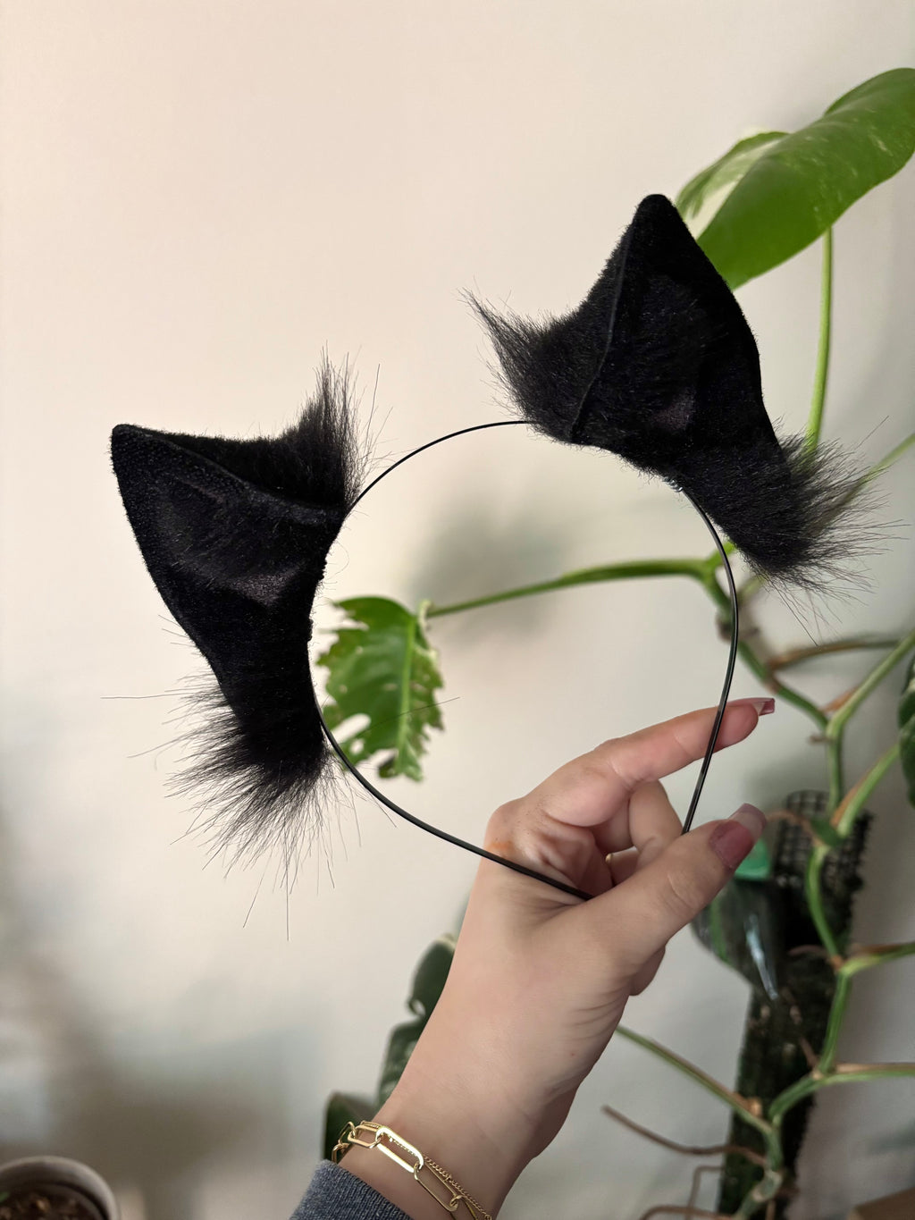 Midnight Black Kitten Ears