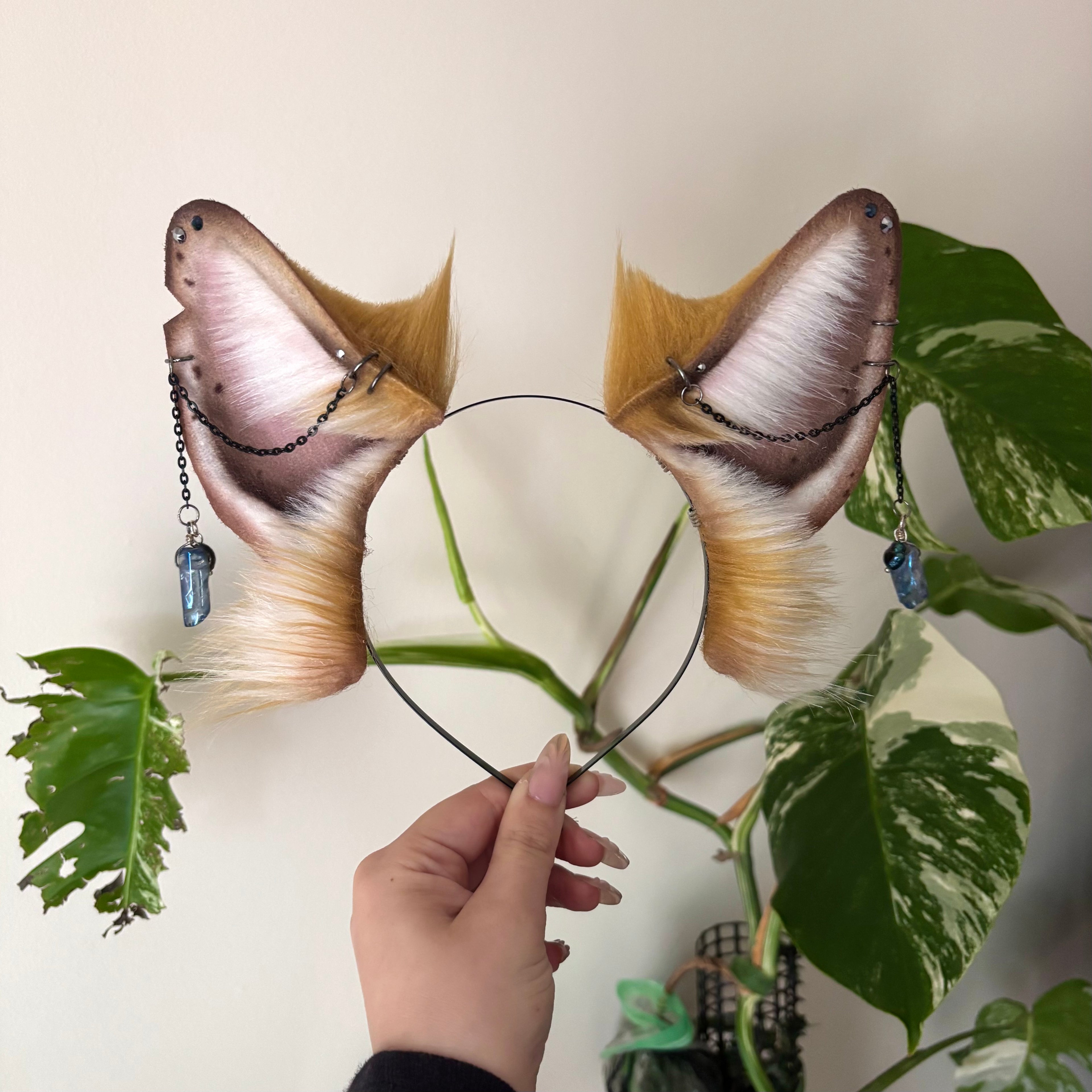 Golden Fox Ears