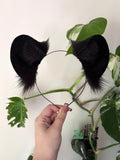 Solid Black Bear Ears