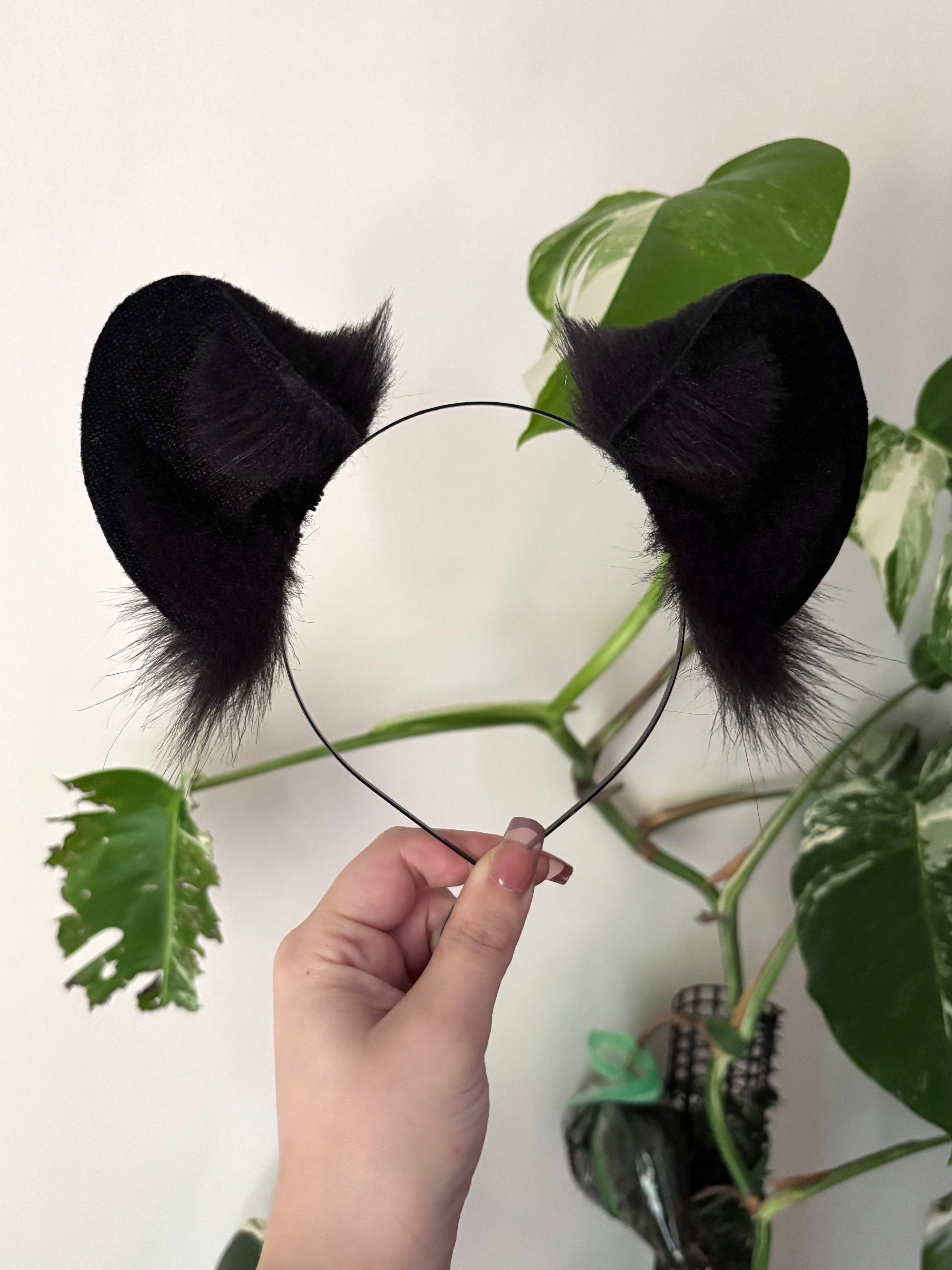 Solid Black Bear Ears