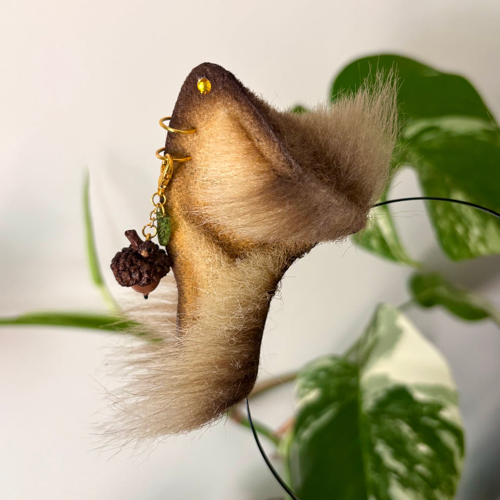Acorn Kitten Ears