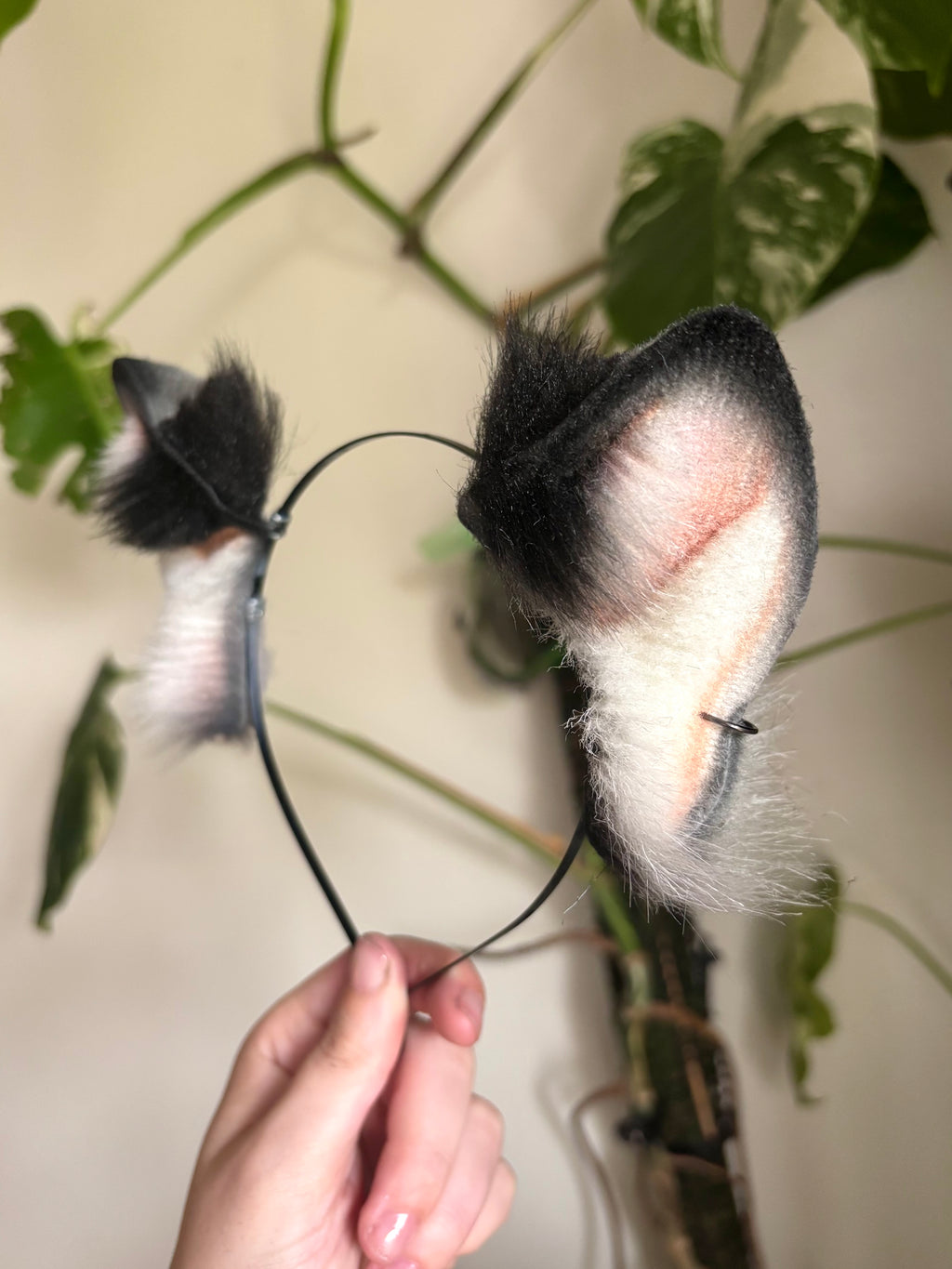 Marbled Kitten Ears