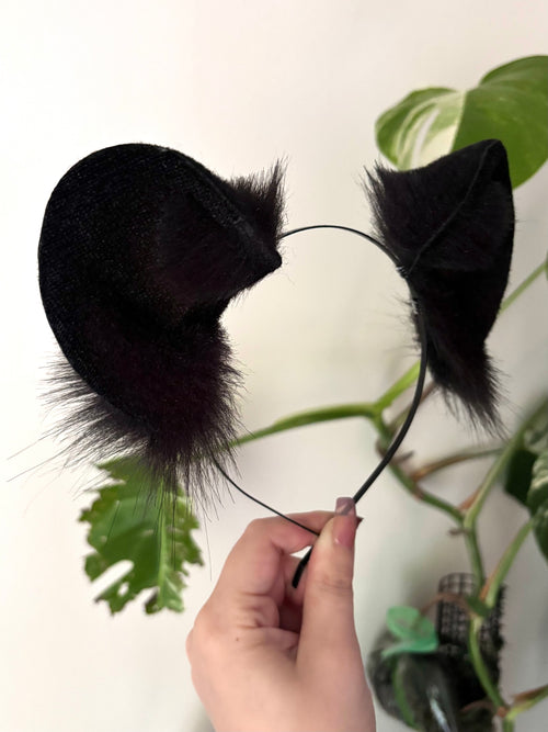 Midnight Black Bear Ears