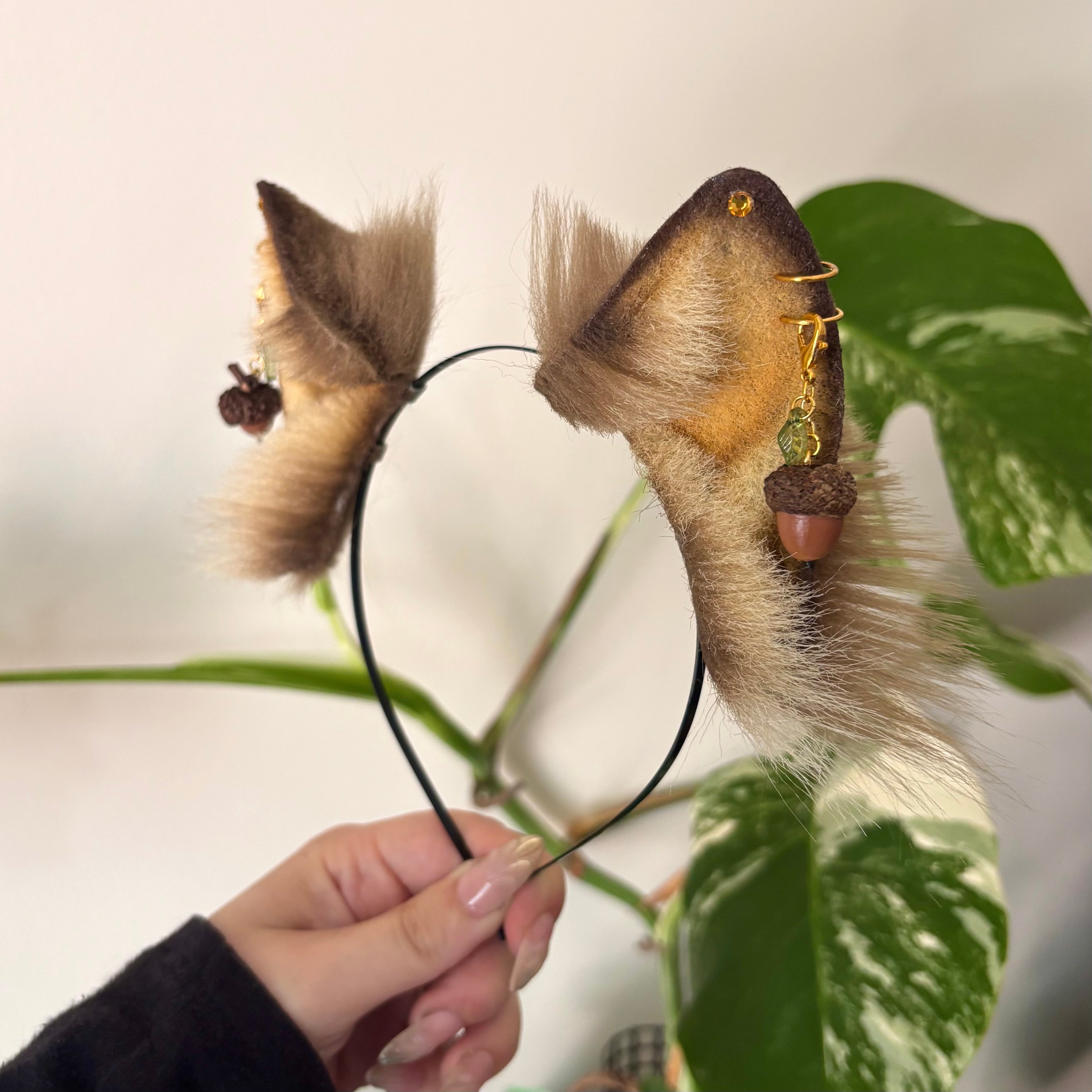 Acorn Kitten Ears
