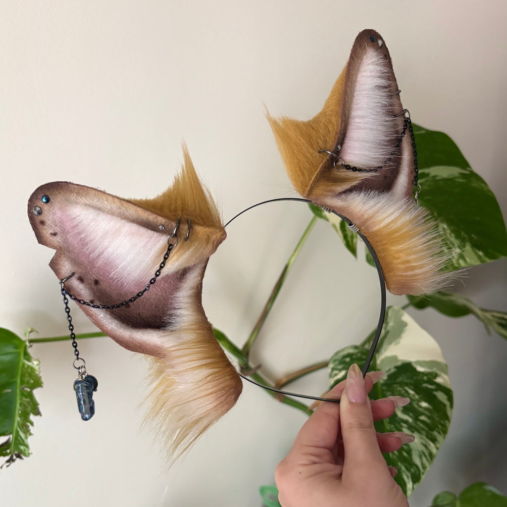 Golden Fox Ears