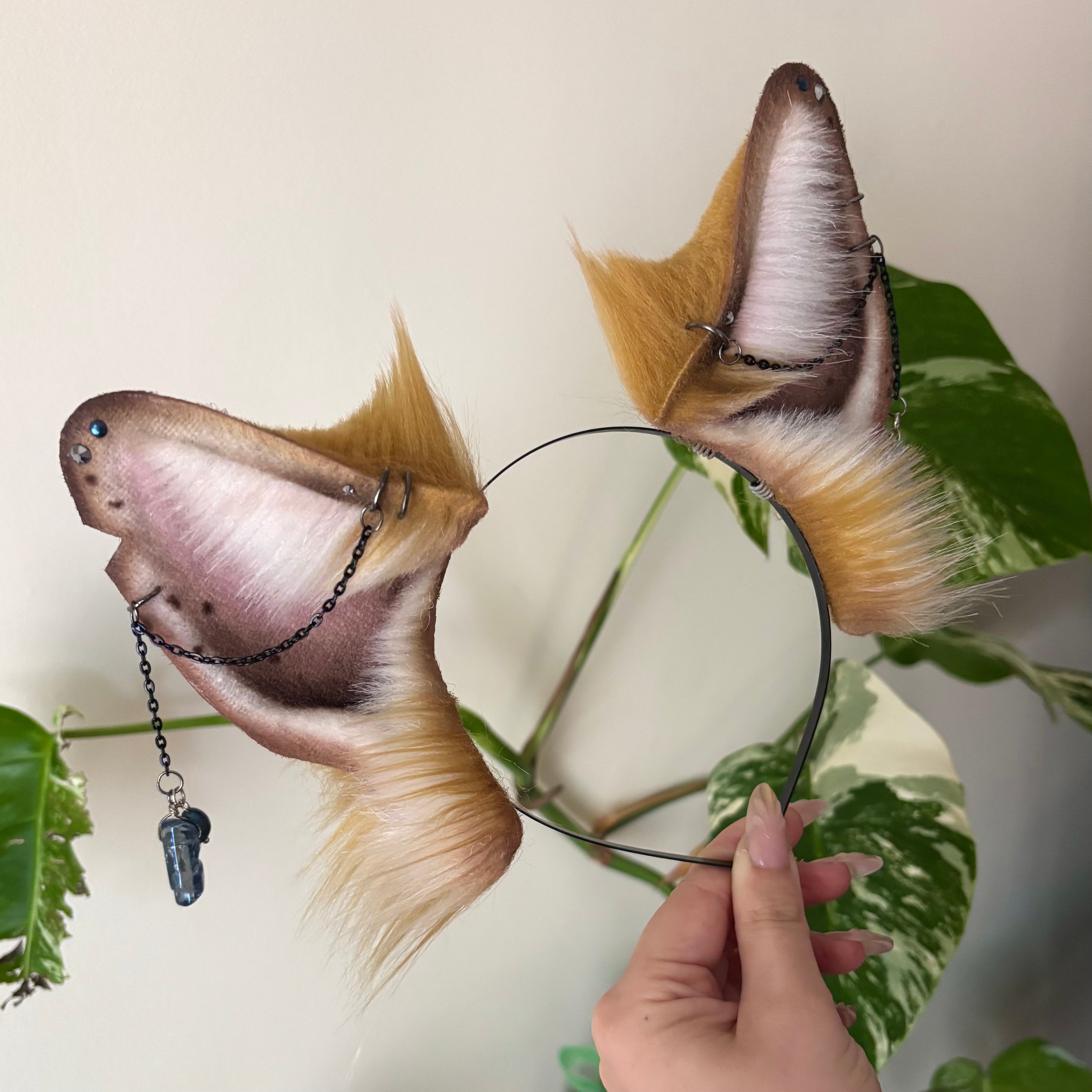 Golden Fox Ears