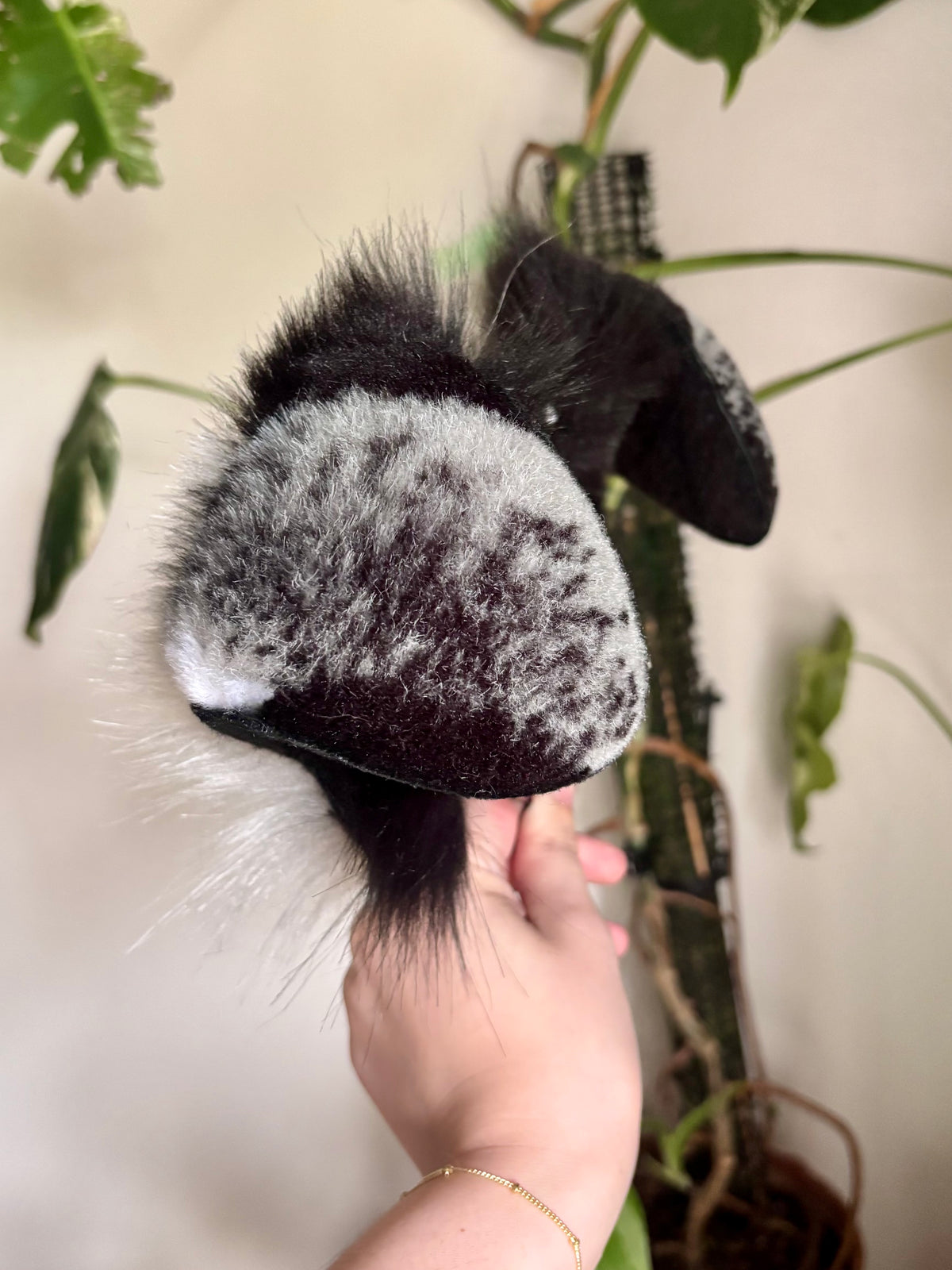 Marbled Folded Puppy Ears