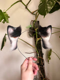 Marbled Kitten Ears