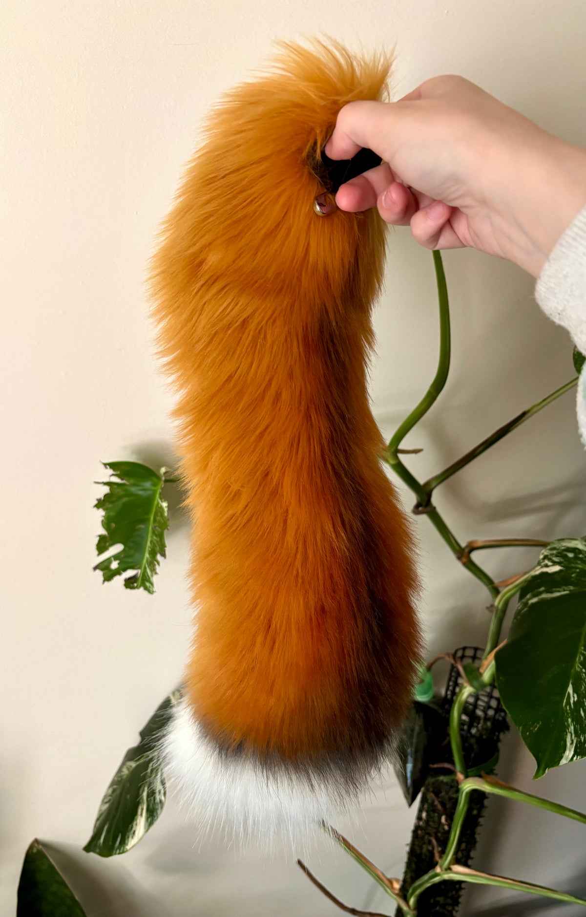 Ashen Red Fox Set