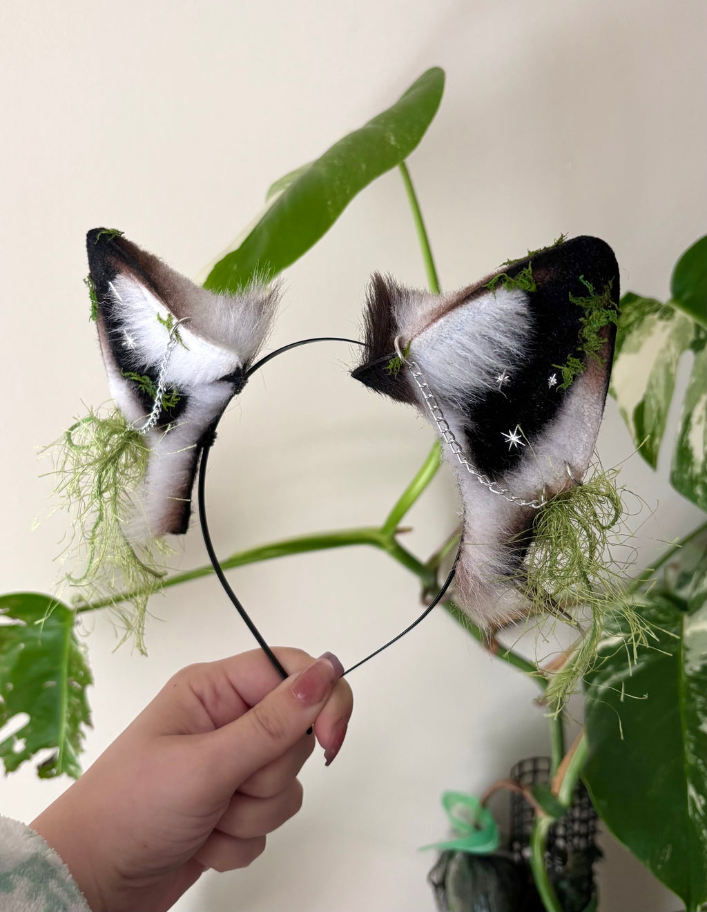 Moonlichen Wolf Ears
