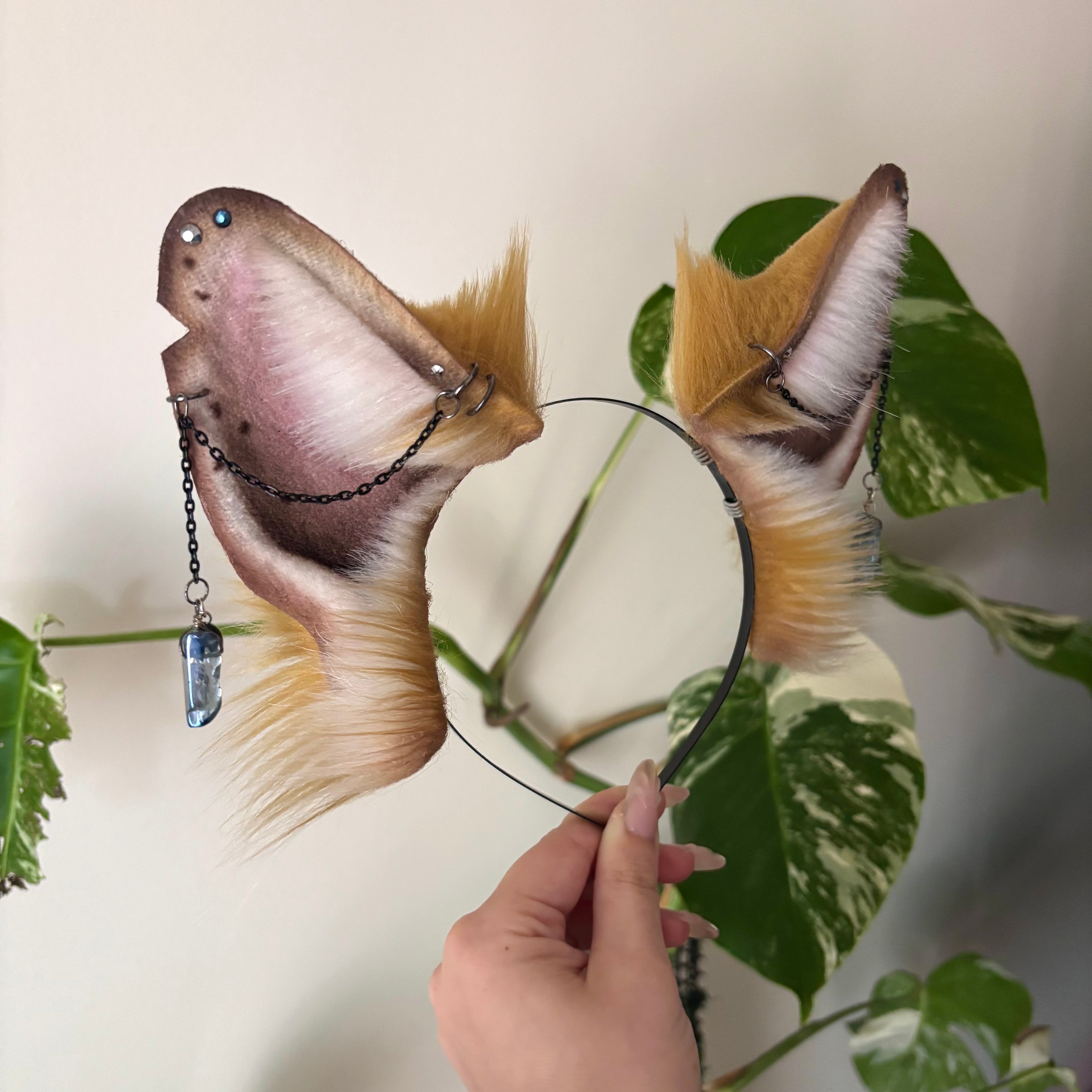 Golden Fox Ears