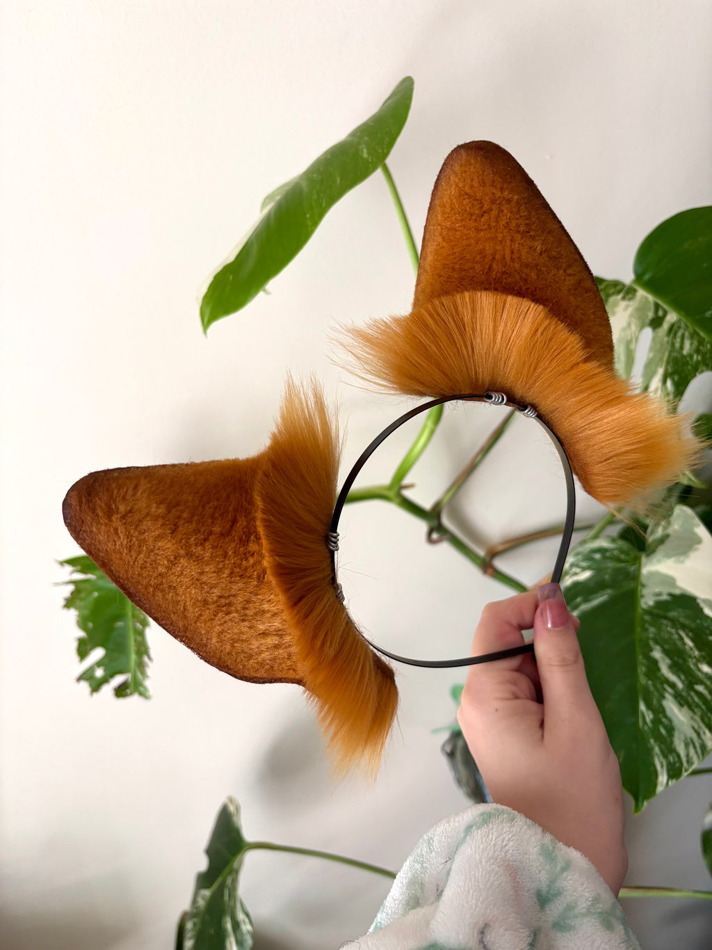 Red Fox Ears