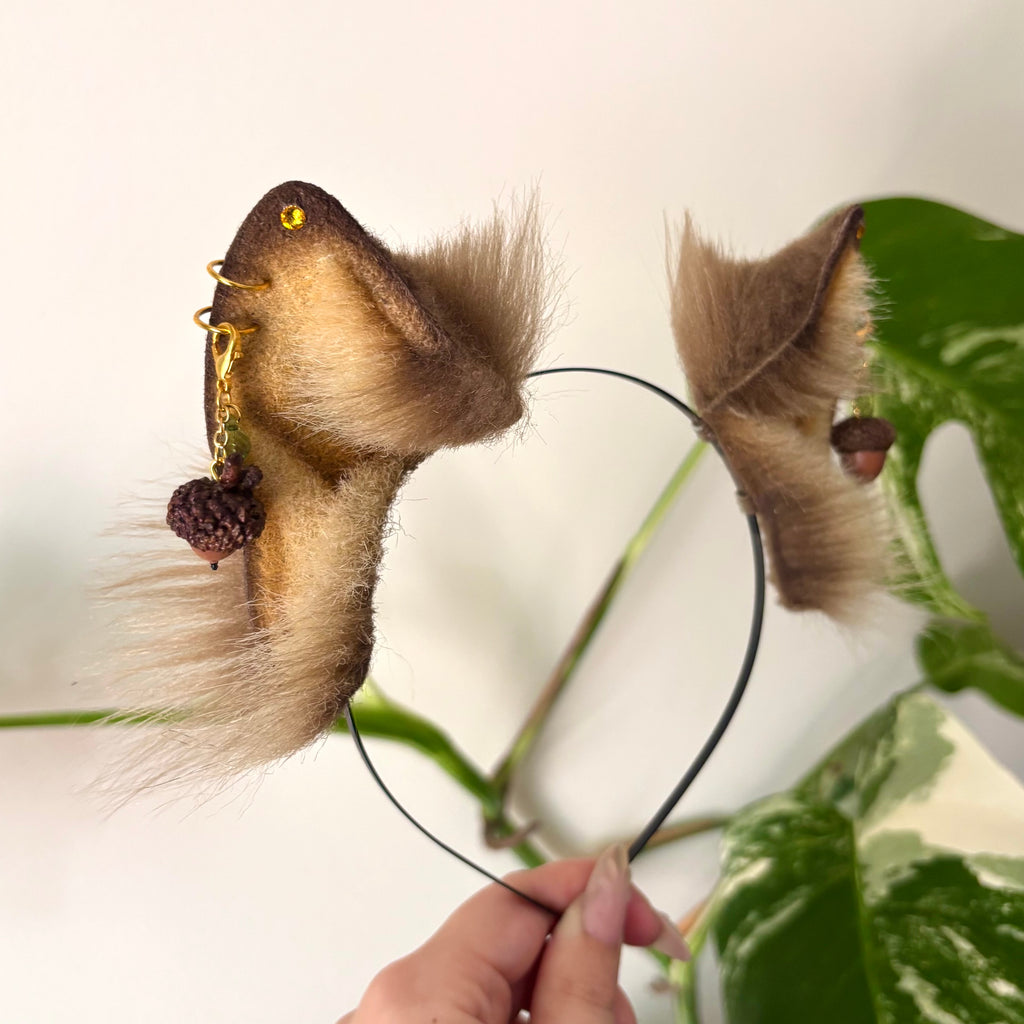 Acorn Kitten Ears