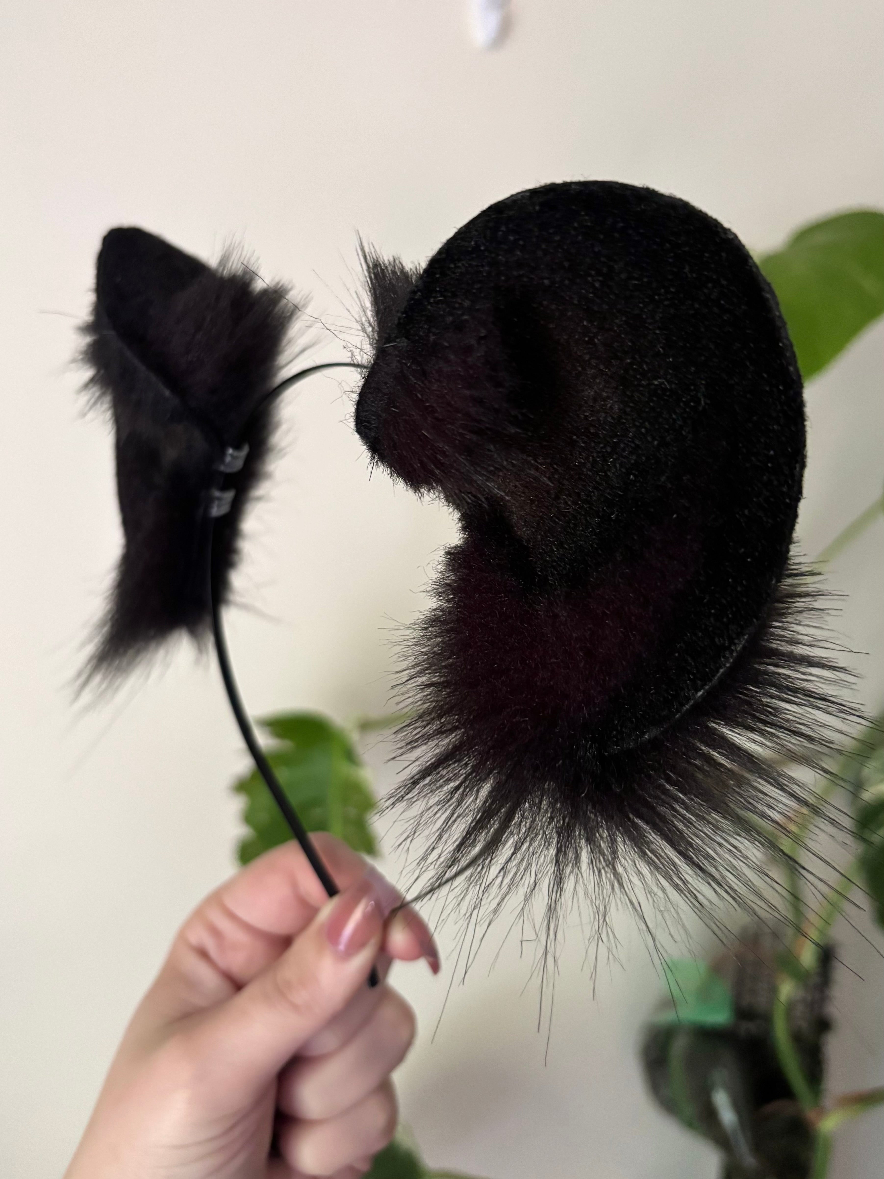 Solid Black Bear Ears