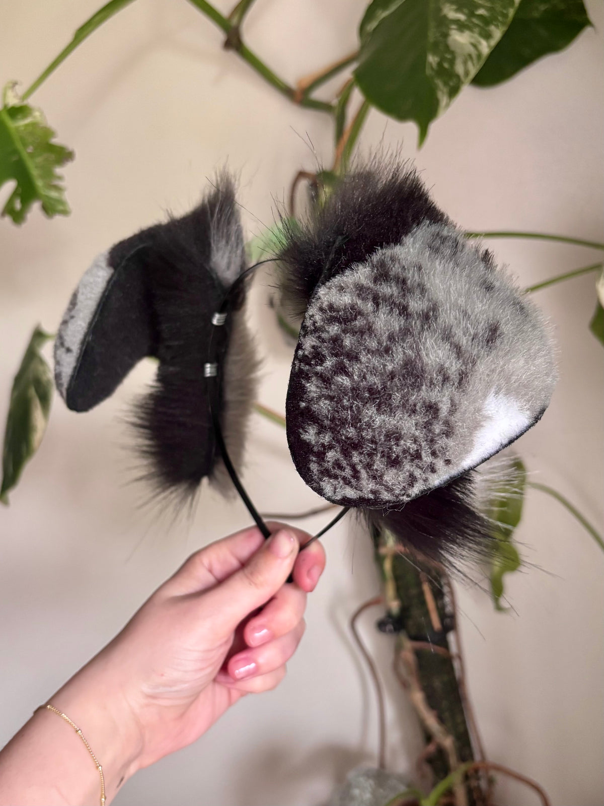 Marbled Folded Puppy Ears