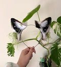 Moonlichen Wolf Ears