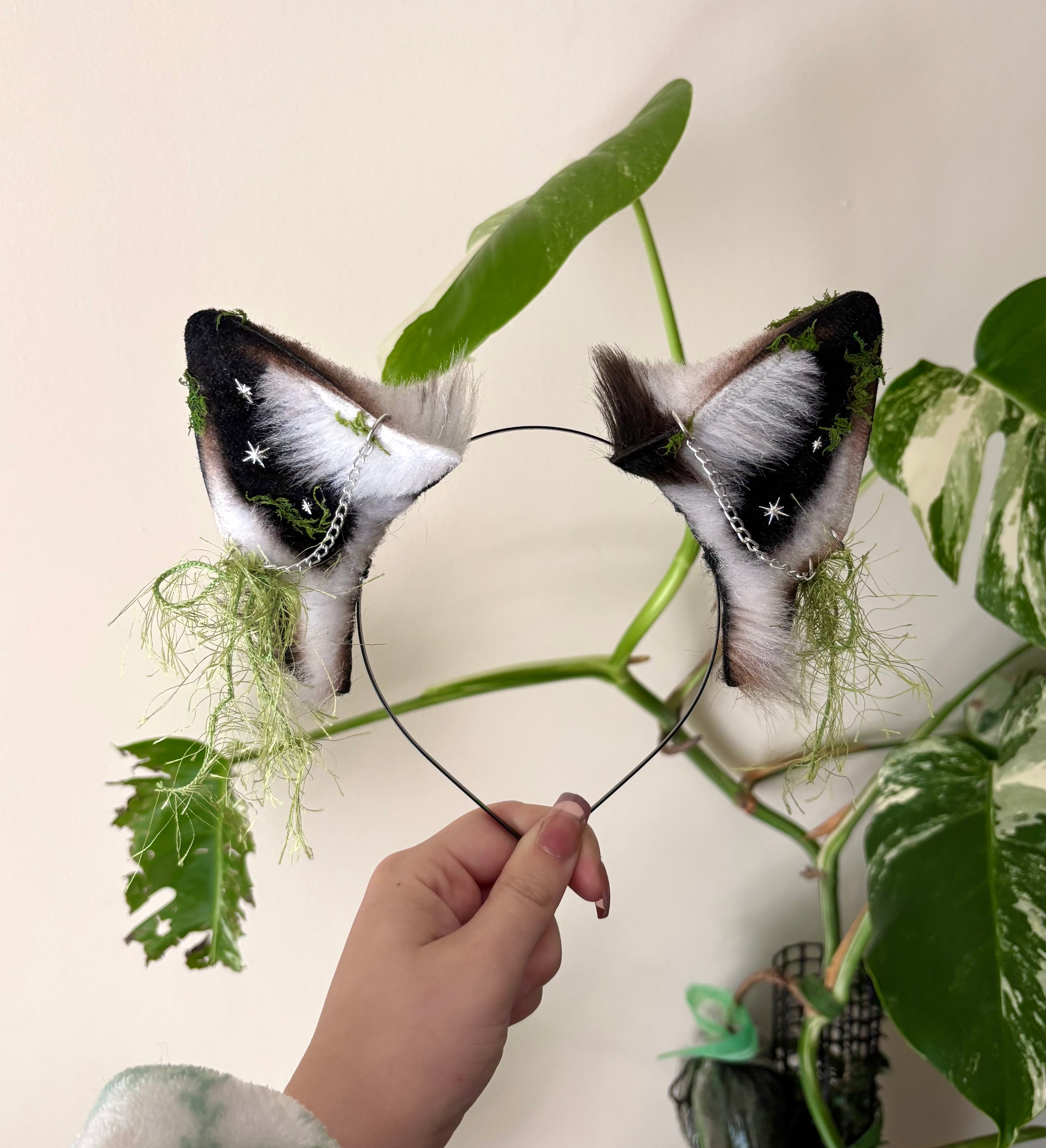 Moonlichen Wolf Ears