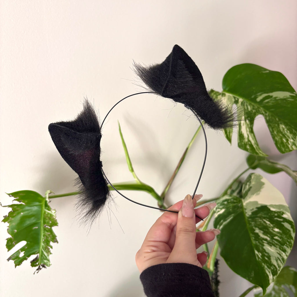 Solid Black Dainty Kitten Ears