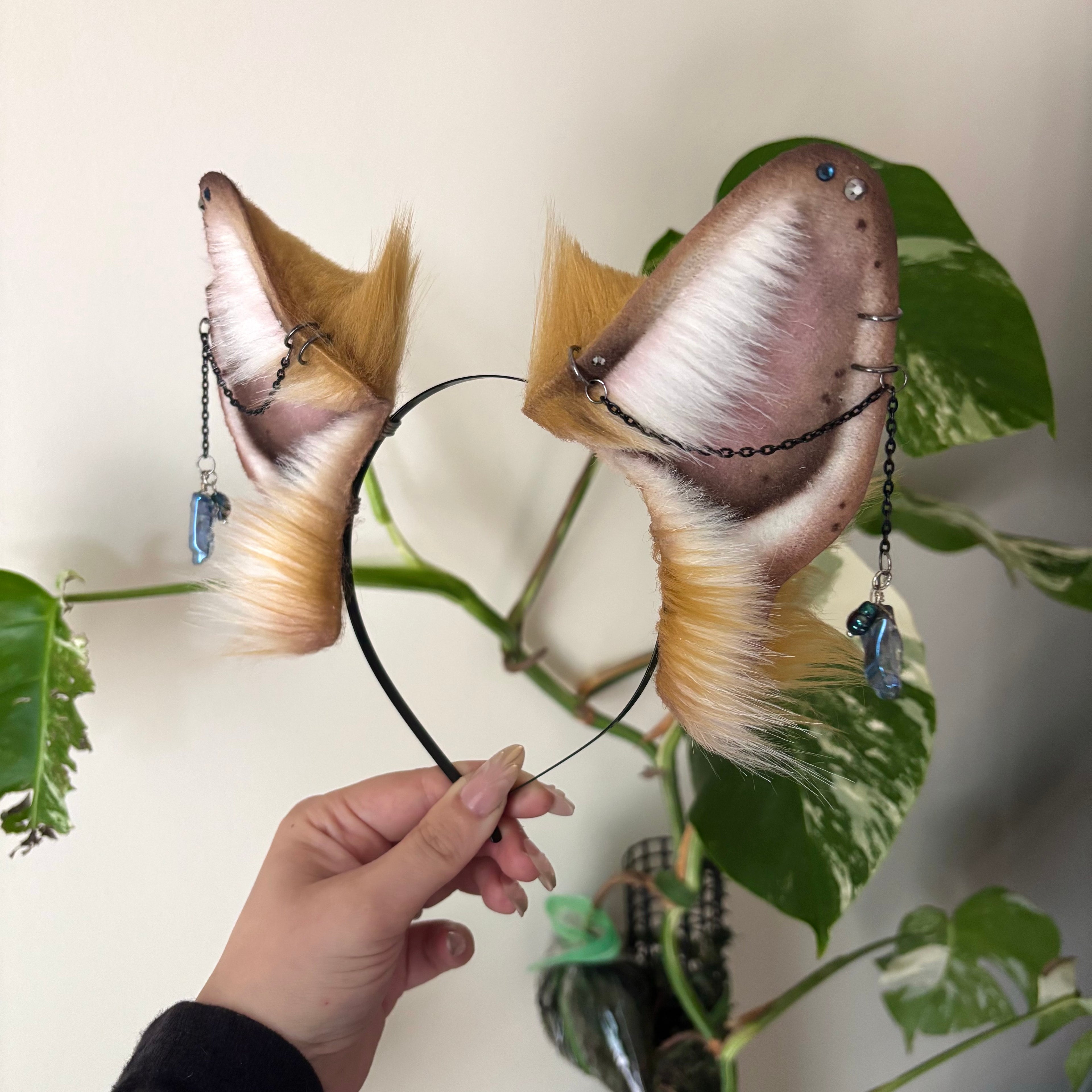 Golden Fox Ears