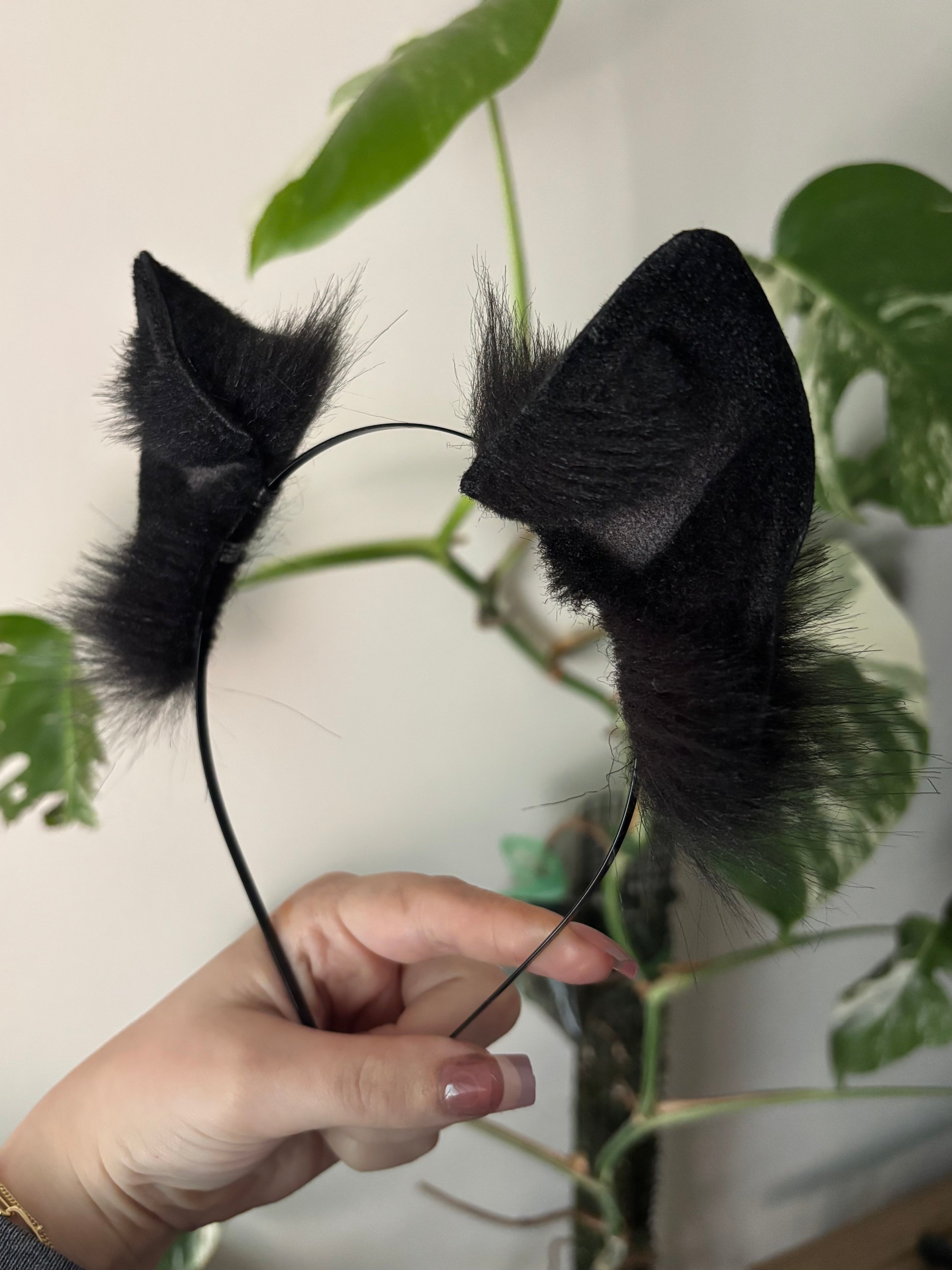 Midnight Black Kitten Ears