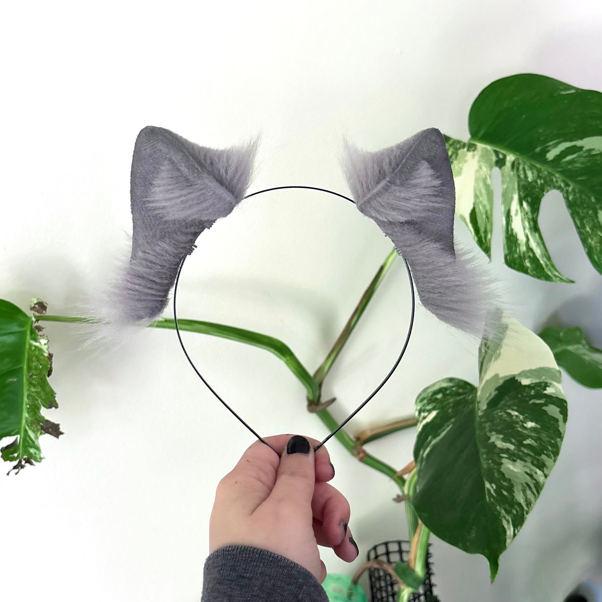 Solid Gray Dainty Kitten Ears