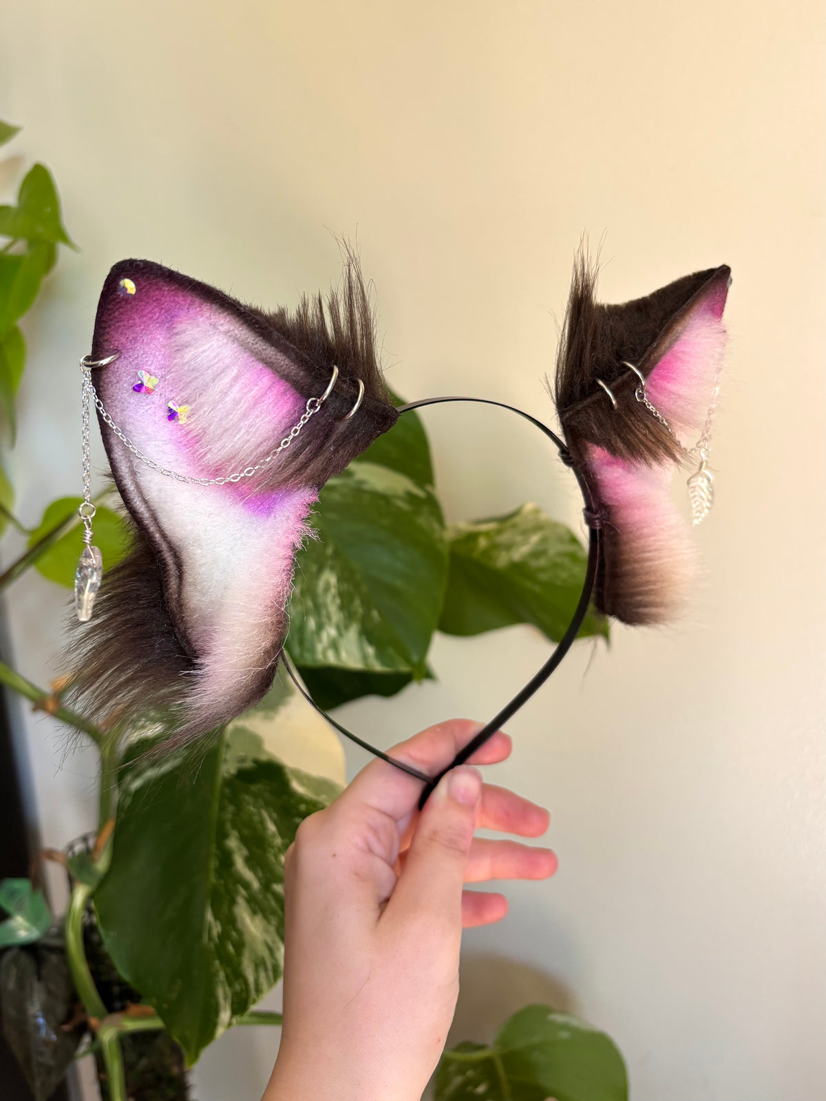 Petalwing Cat Set
