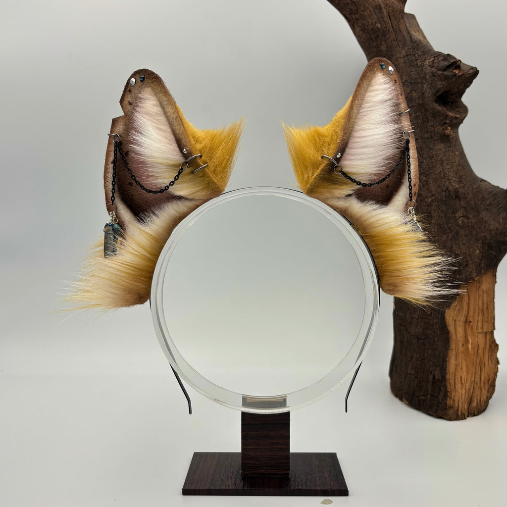 Golden Fox Ears