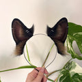 German Shepherd Ears