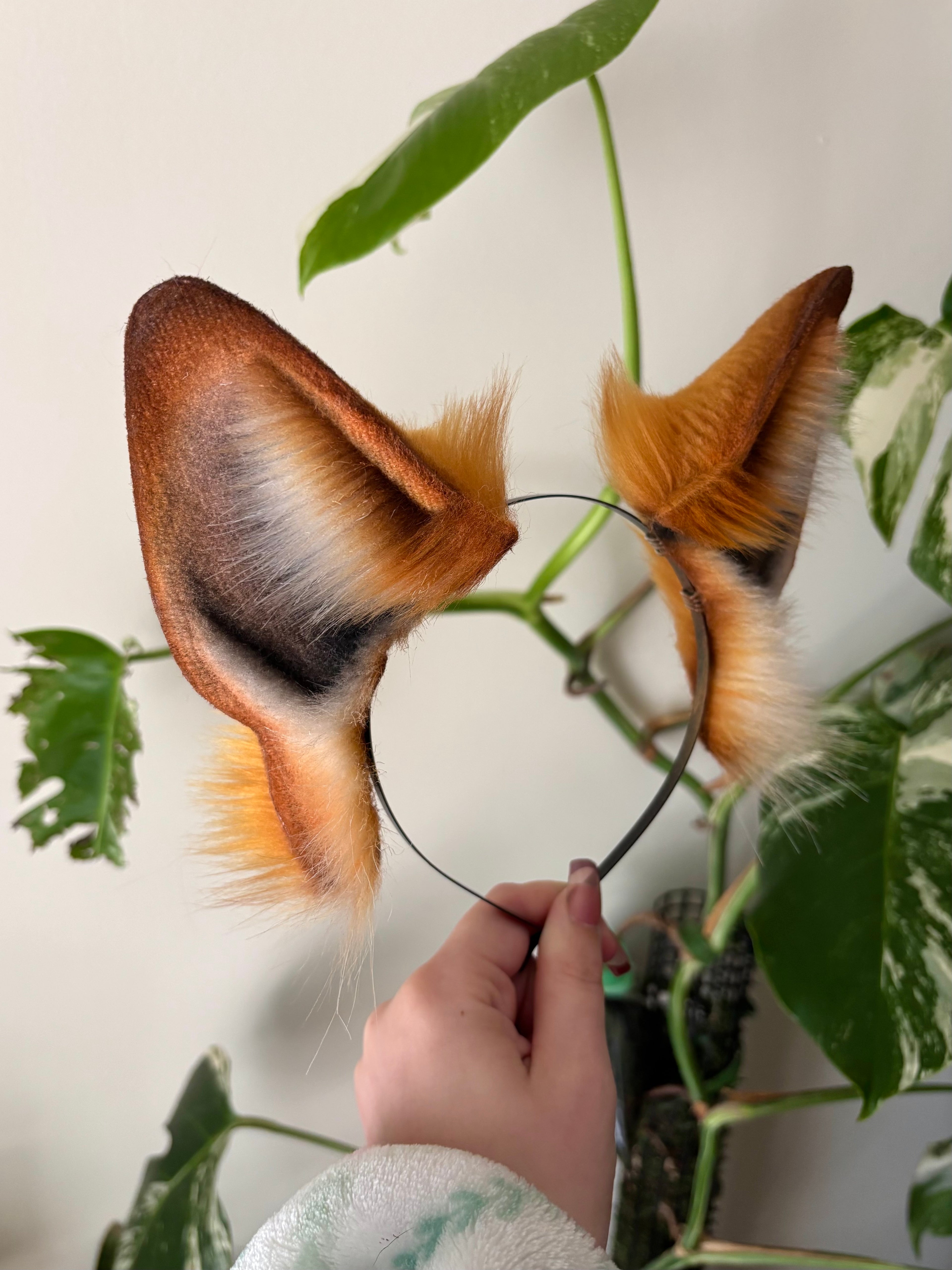 Red Fox Ears