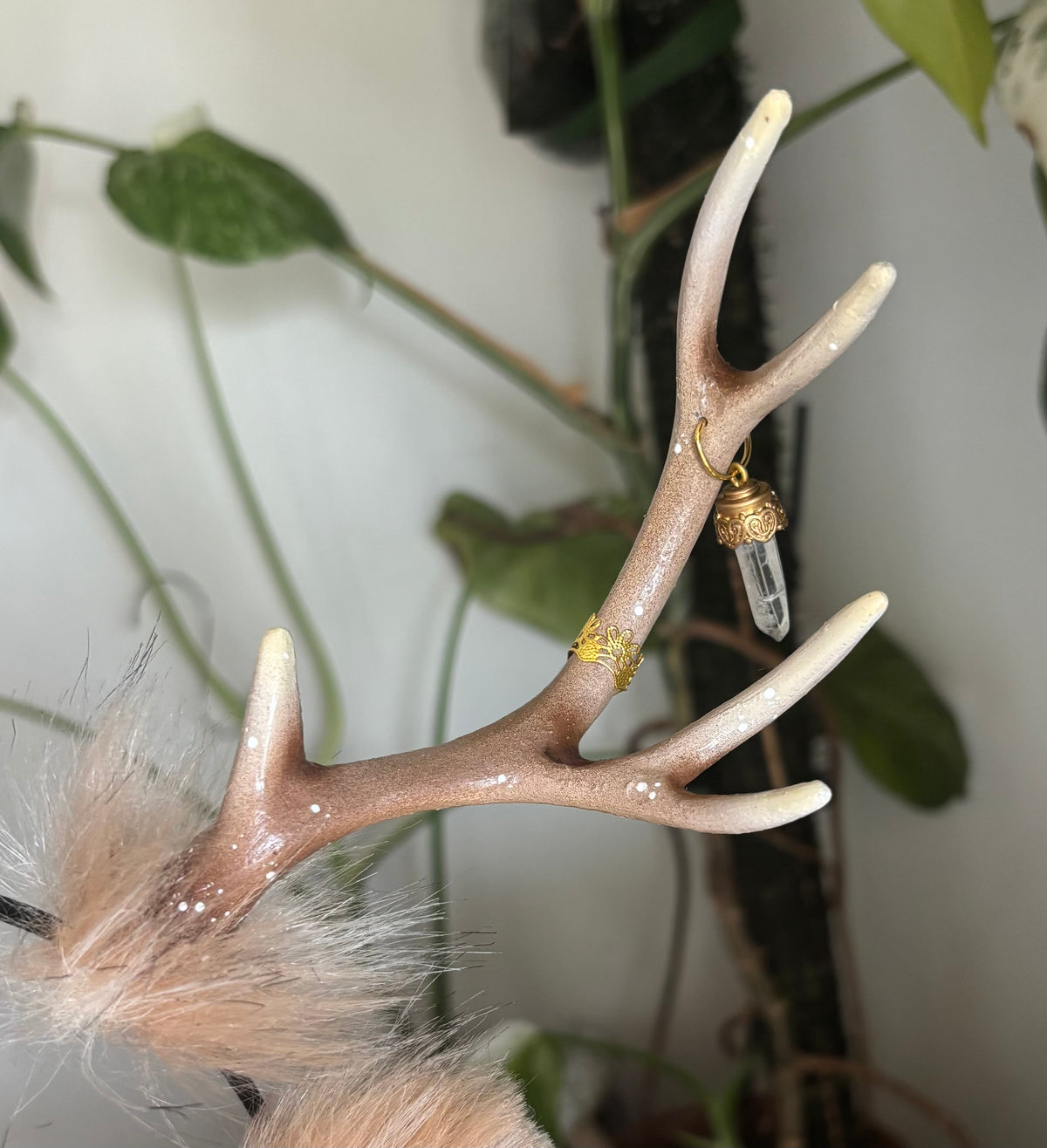 Starlight Fawn Deer Ears