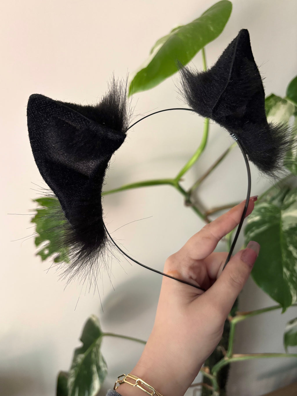Midnight Black Kitten Ears