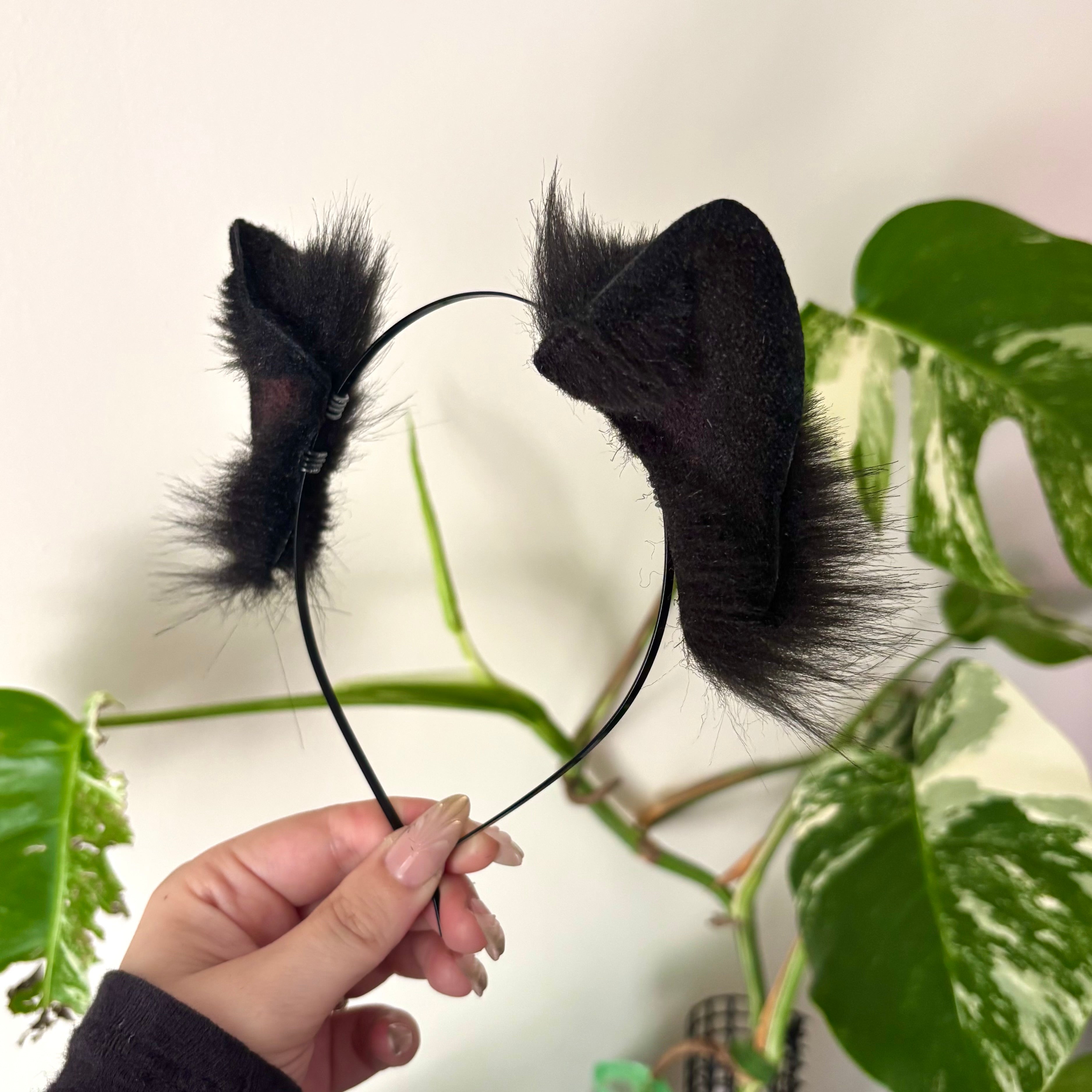 Solid Black Dainty Kitten Ears