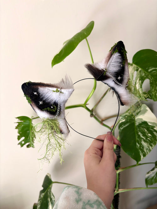 Moonlichen Wolf Ears