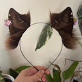 Chocolate Brown Kitten Ears