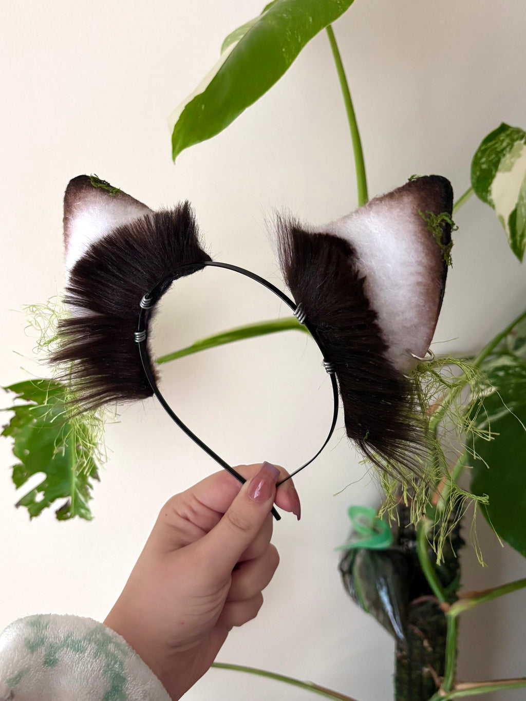 Moonlichen Wolf Ears