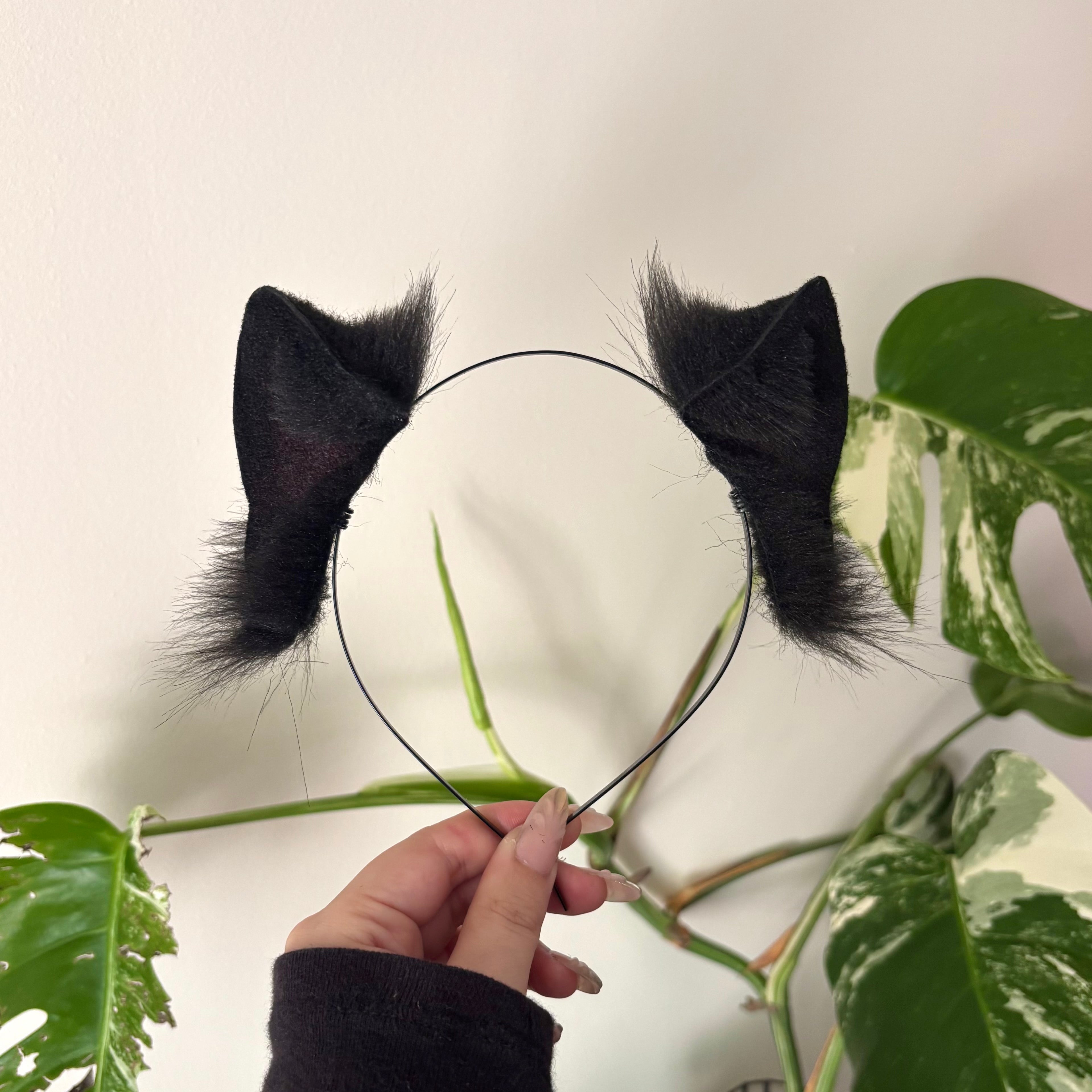 Solid Black Dainty Kitten Ears