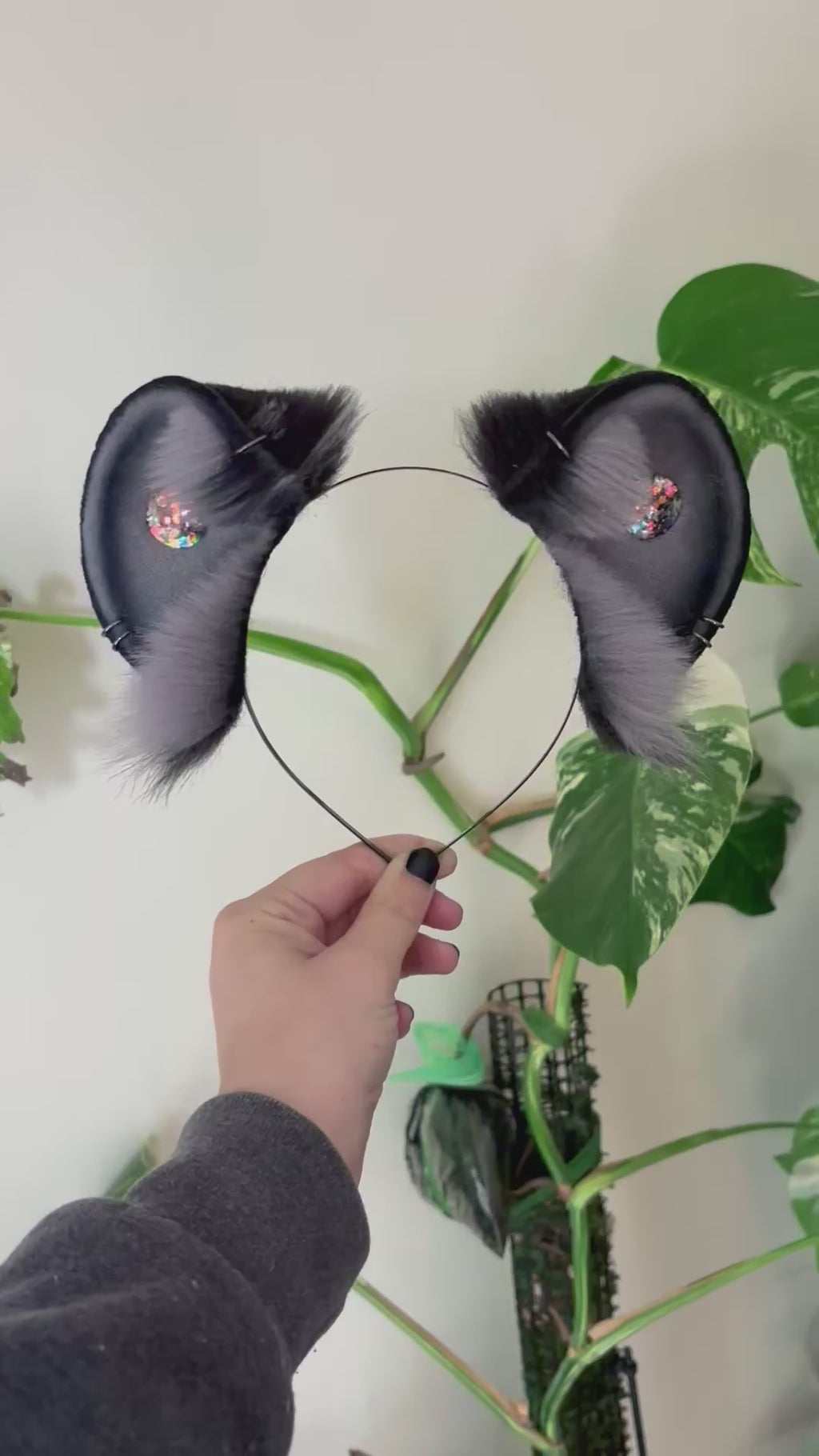 Grey Ember Roundie Ears