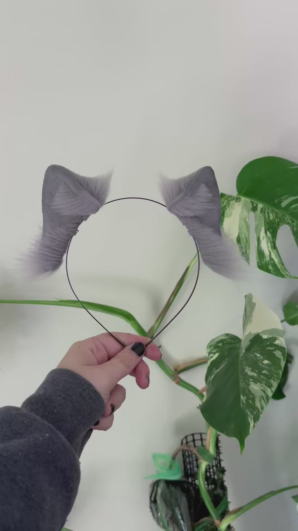 Solid Gray Dainty Kitten Ears