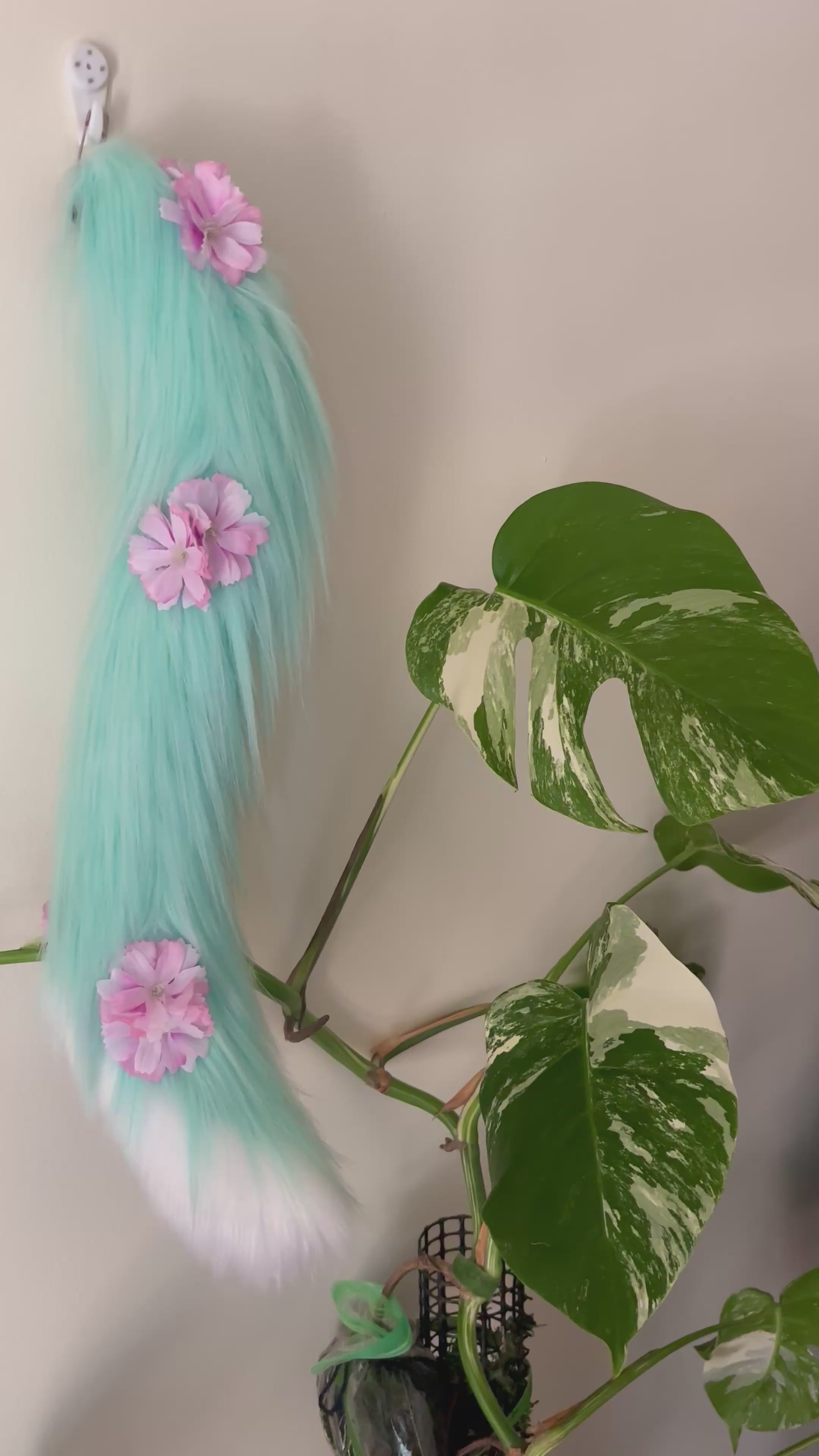 Minty Blue Sakura Kitten Set