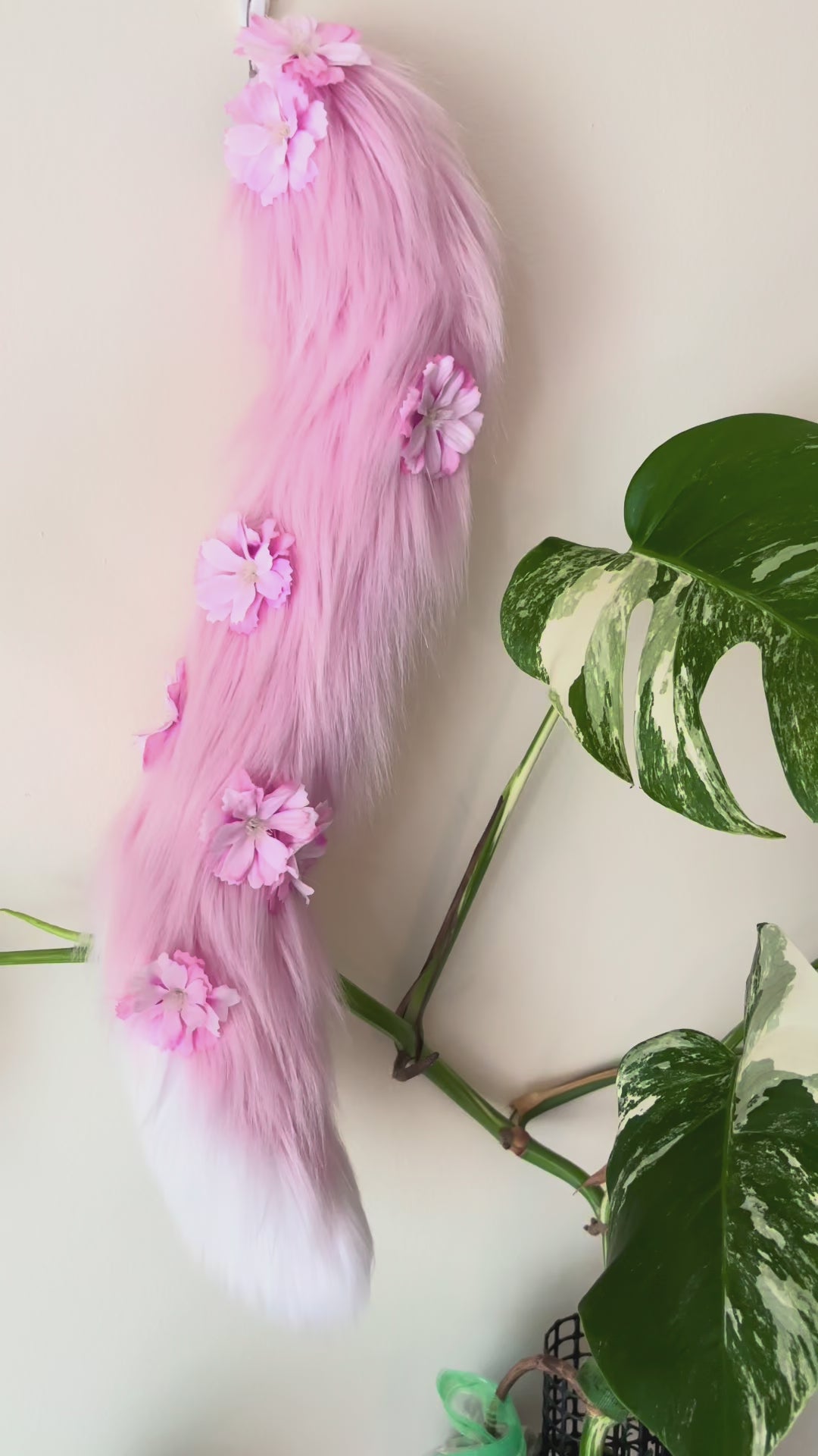 Pink Sakura Blossom Kitten Set
