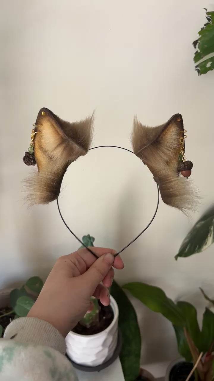 Acorn Kitten Ears