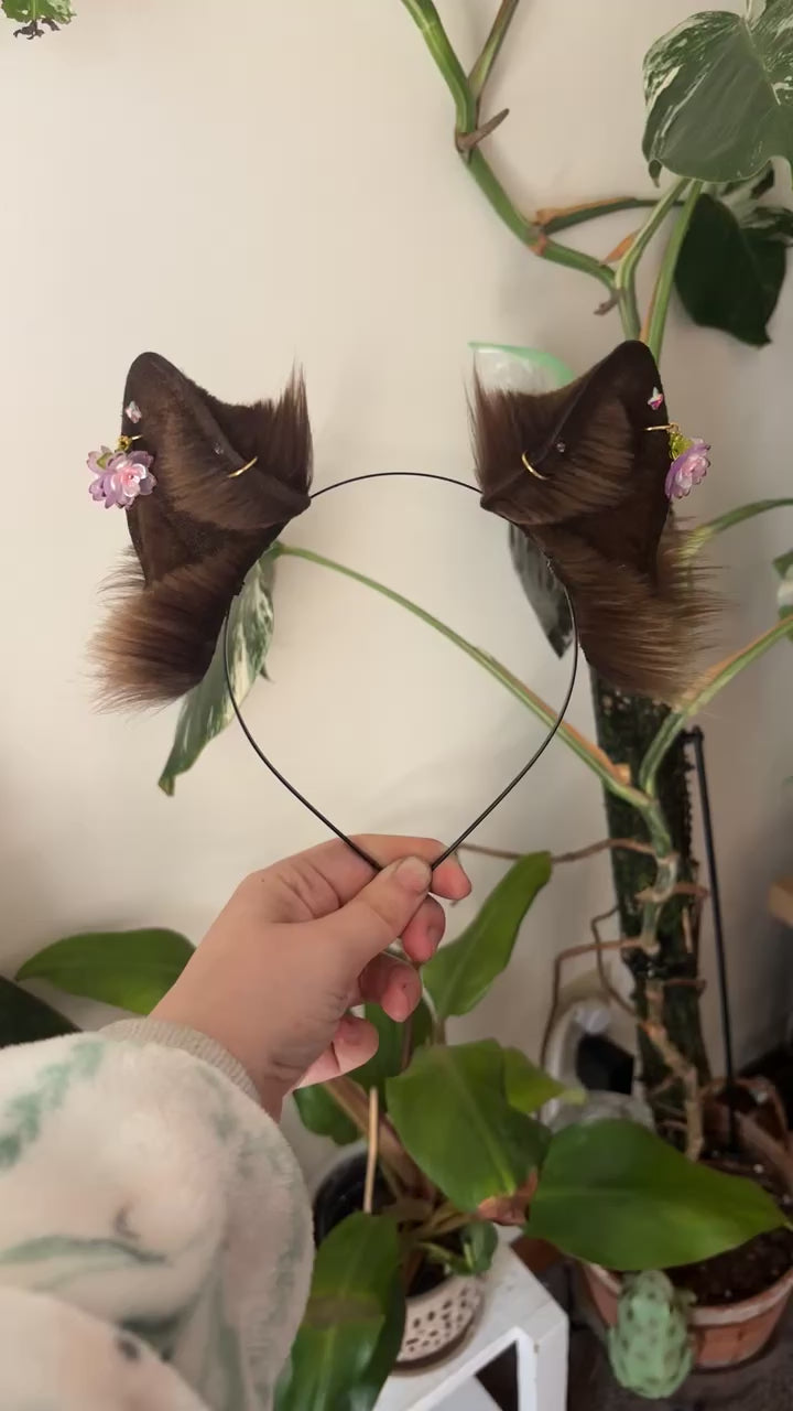 Chocolate Brown Kitten Ears